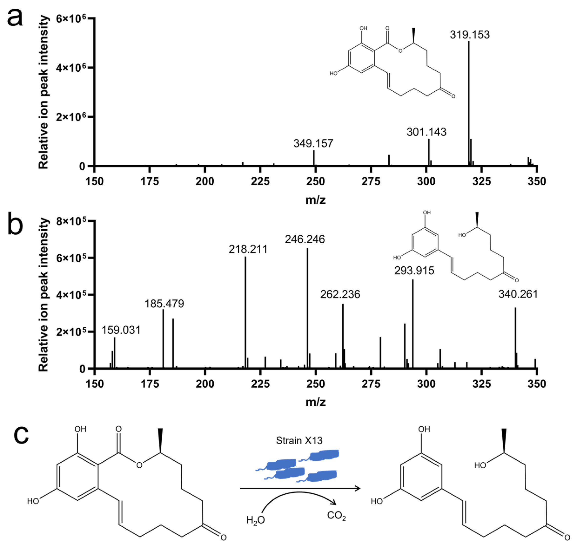 Microorganisms 13 01954 g005