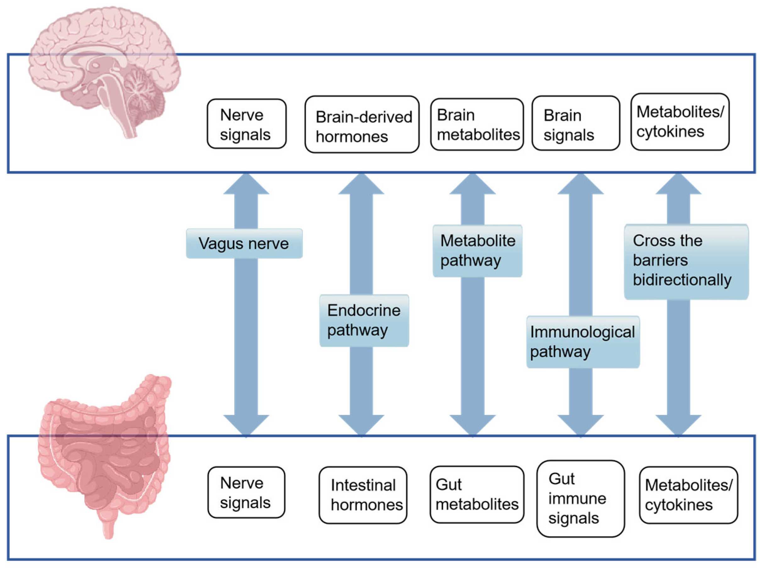 Microorganisms 13 01956 g001