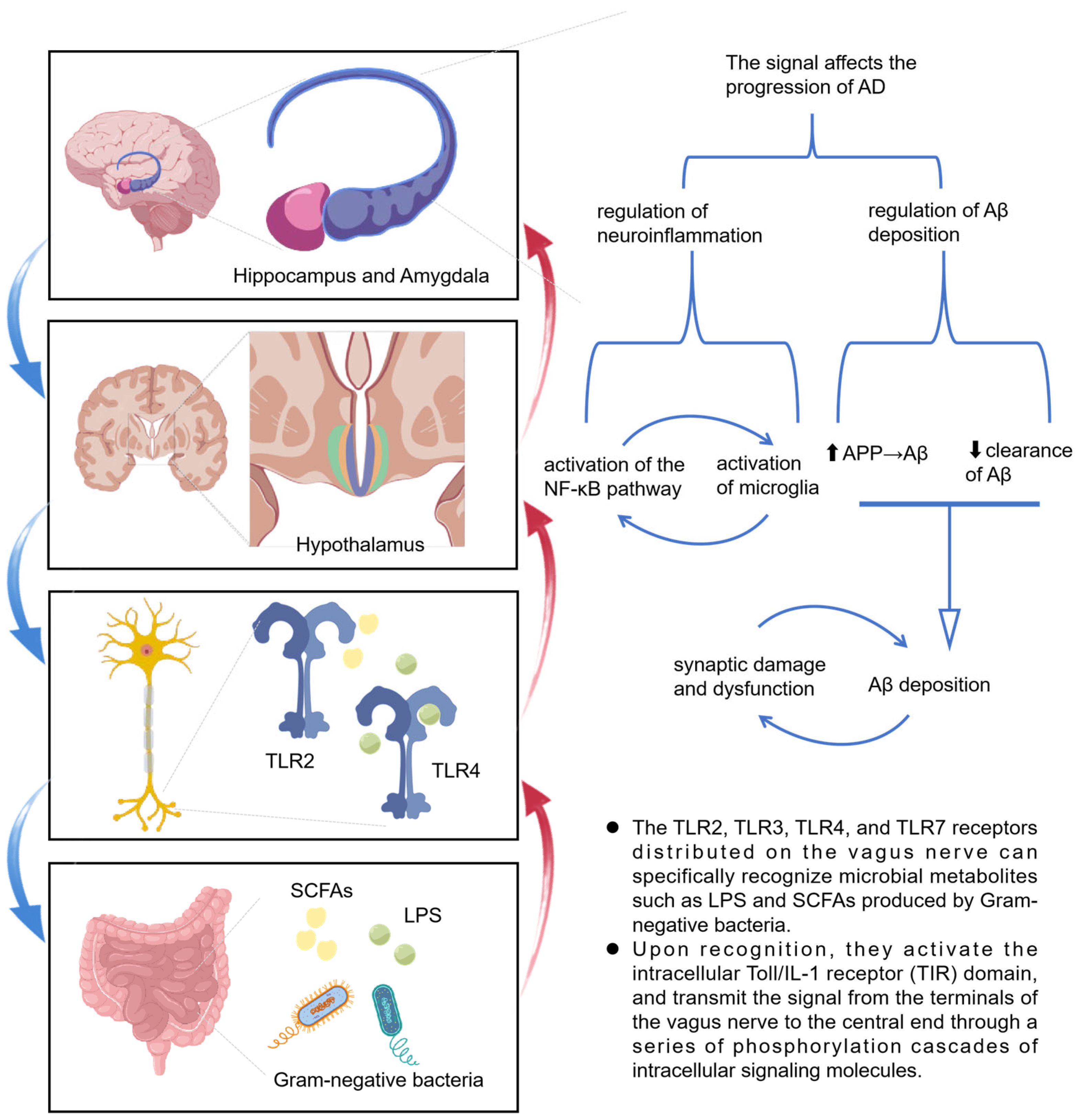 Microorganisms 13 01956 g002