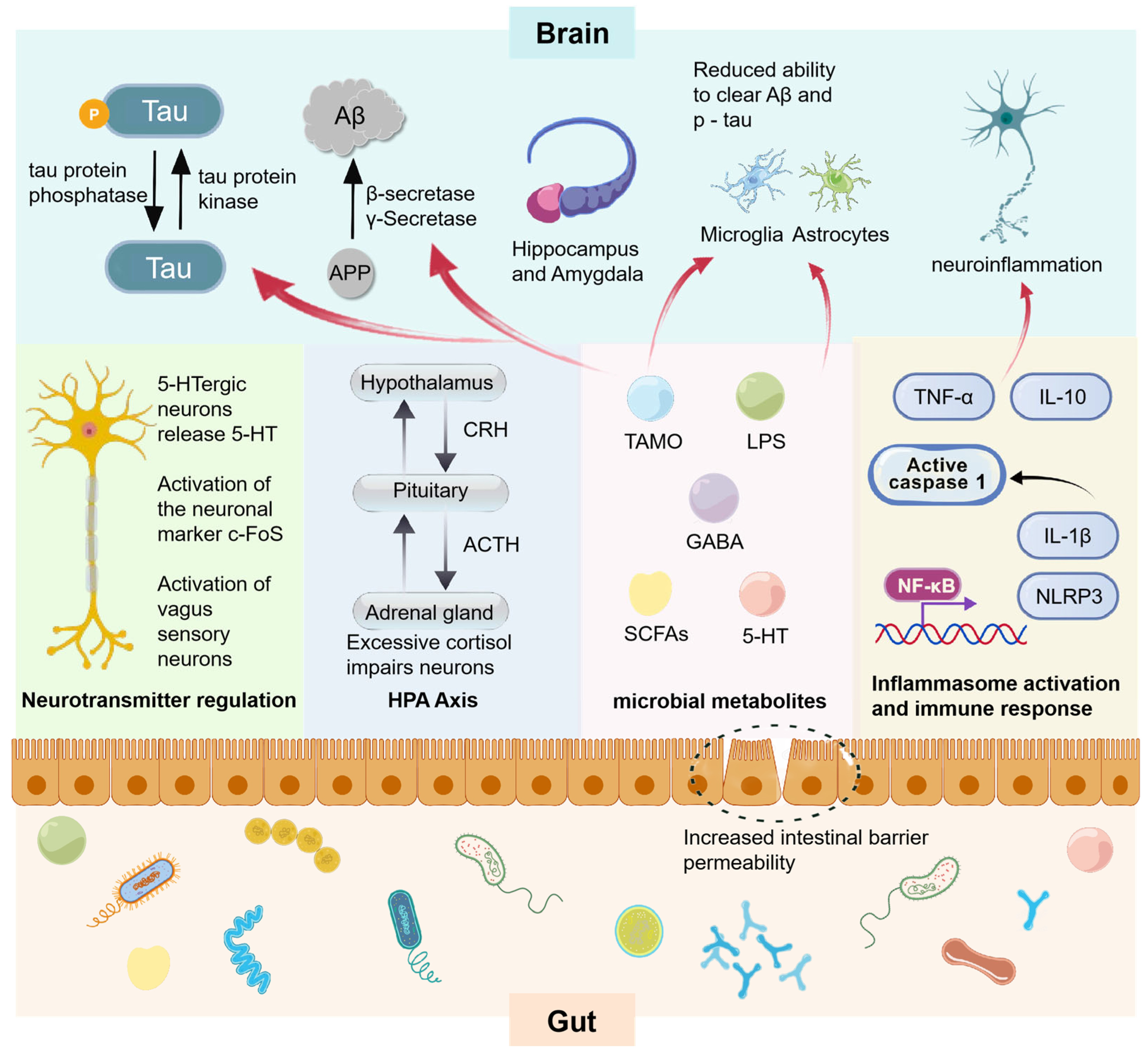 Microorganisms 13 01956 g004