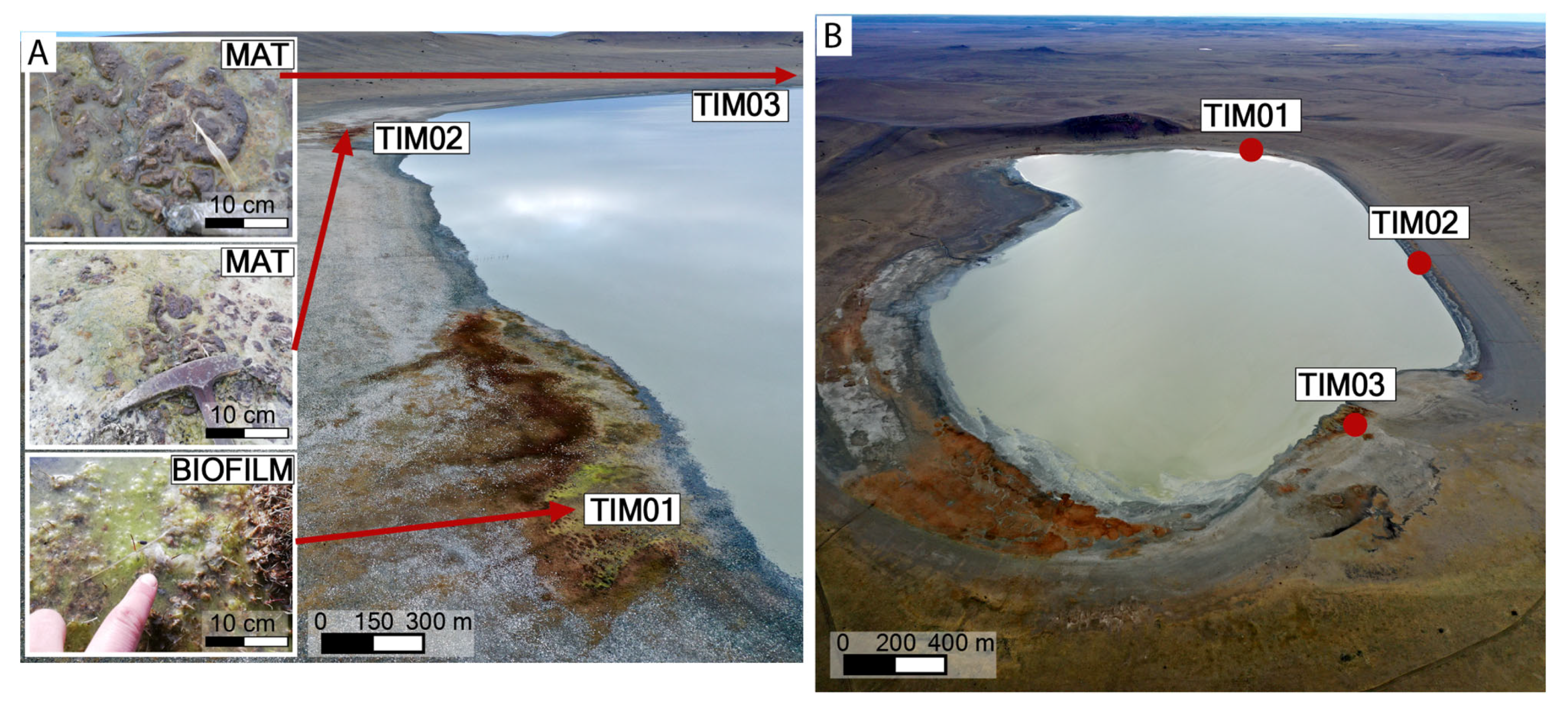 Microorganisms 13 01957 g002