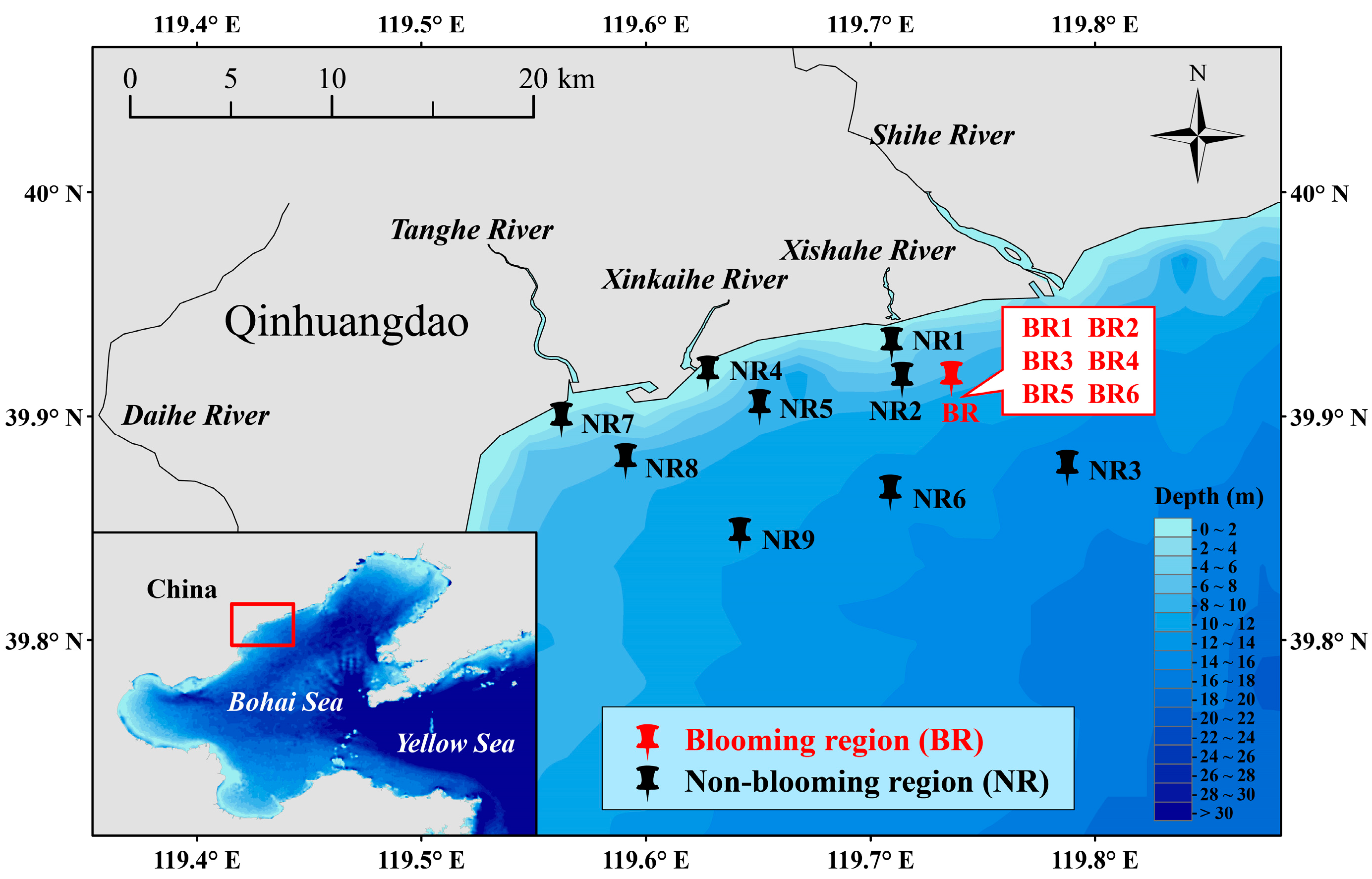 Microorganisms 13 01959 g001