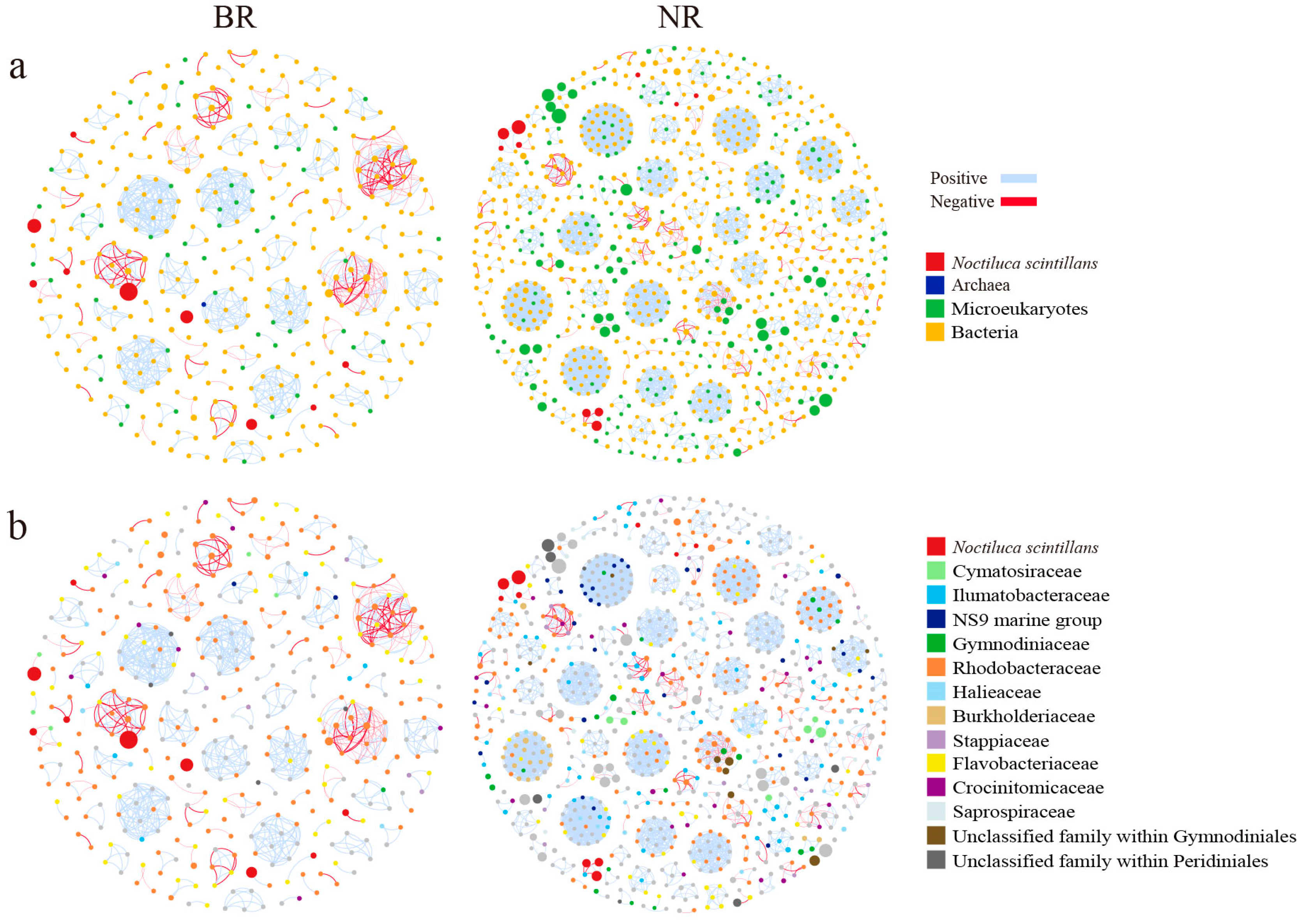 Microorganisms 13 01959 g006