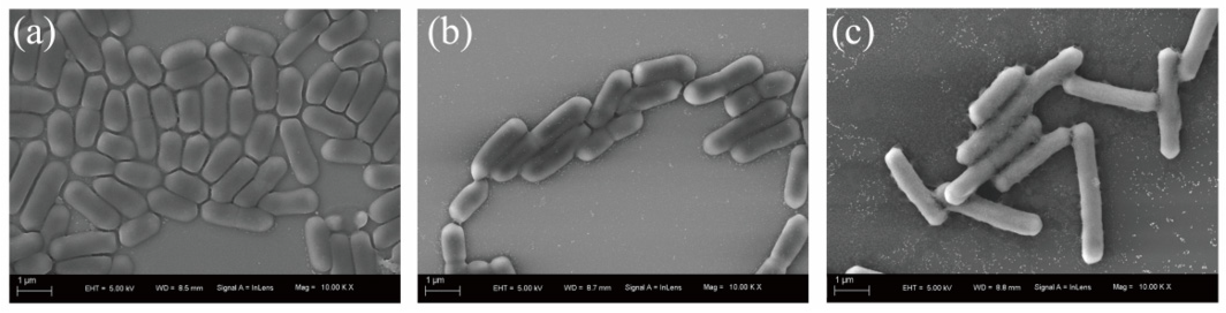 Microorganisms 13 01961 g002