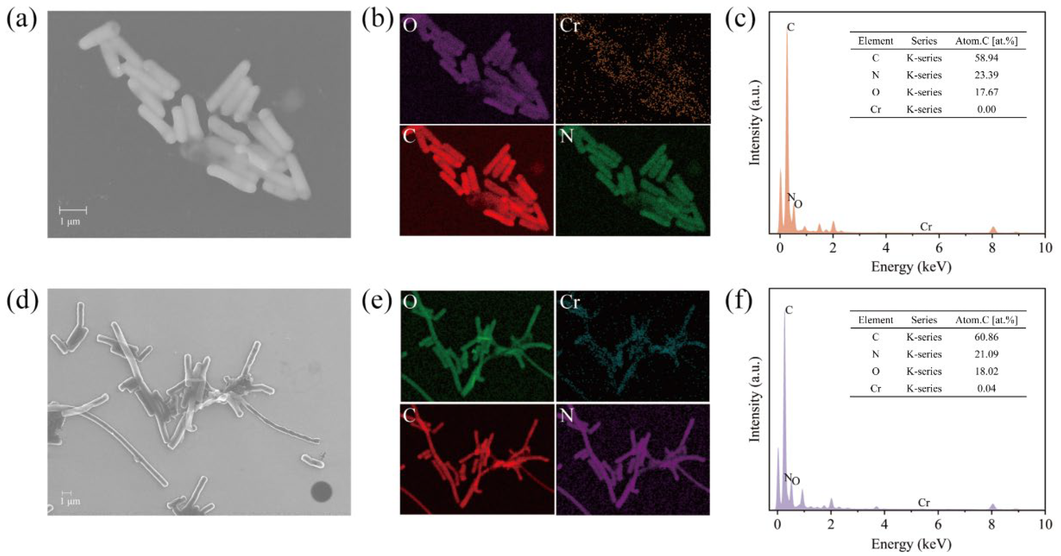 Microorganisms 13 01961 g003