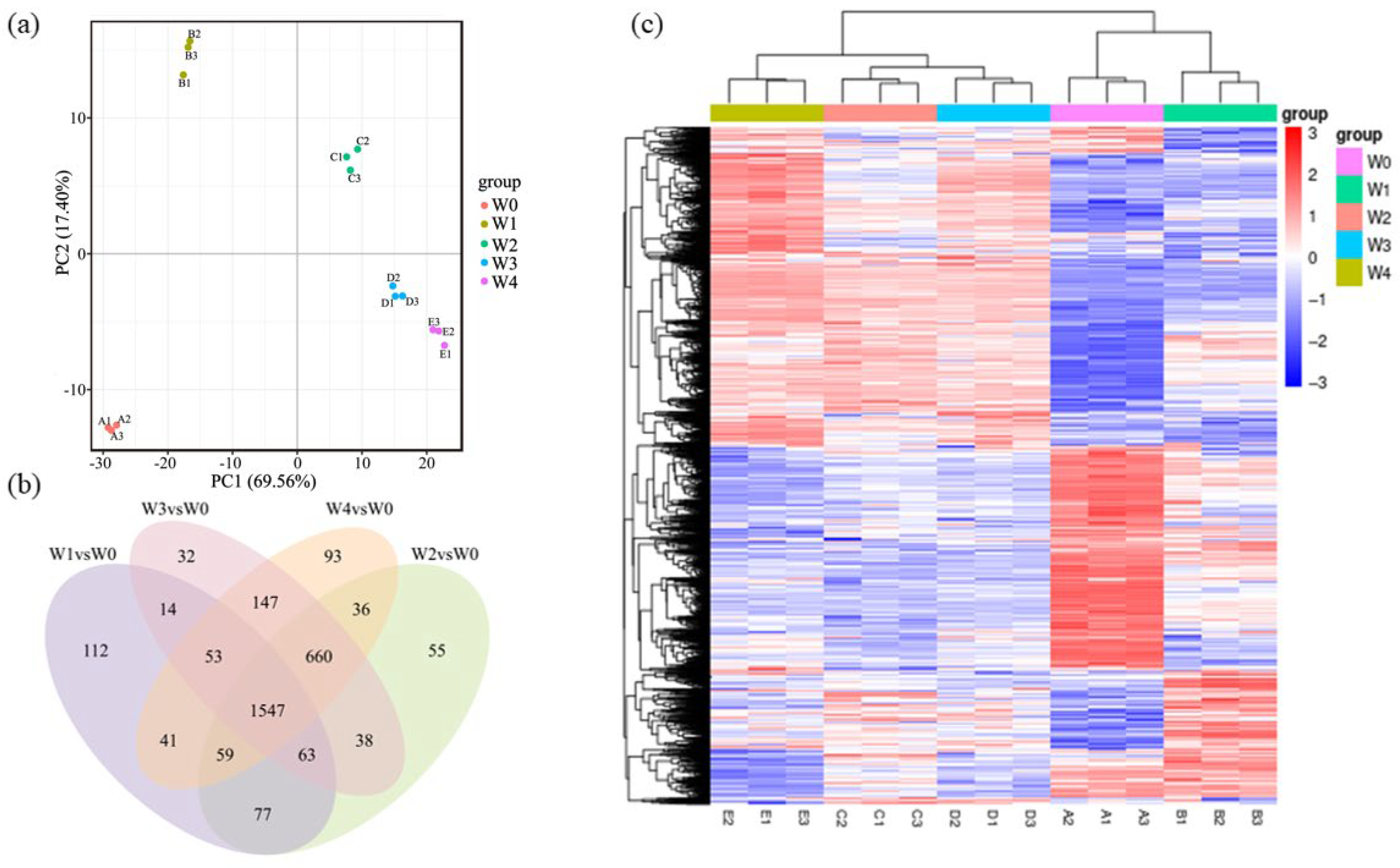 Microorganisms 13 01961 g006