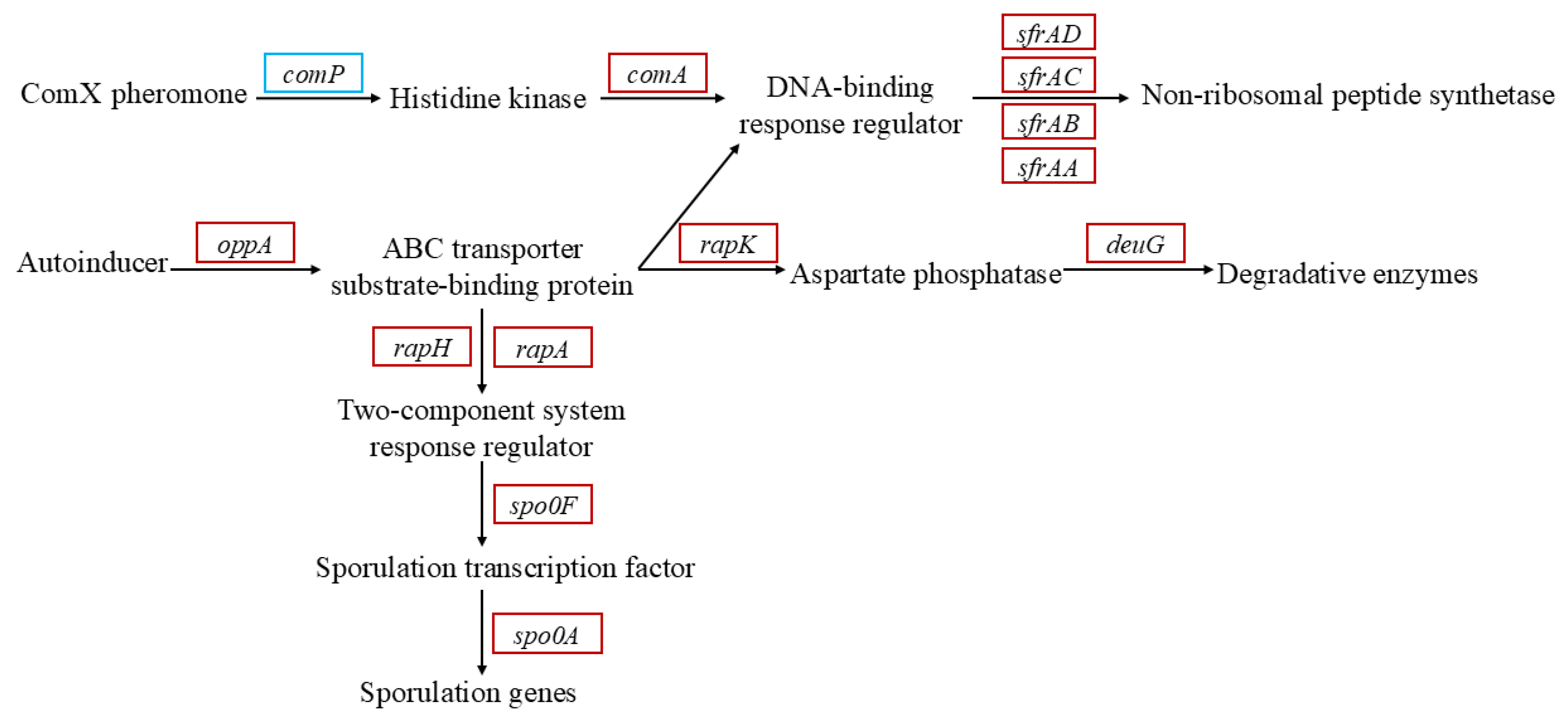 Microorganisms 13 01961 g007