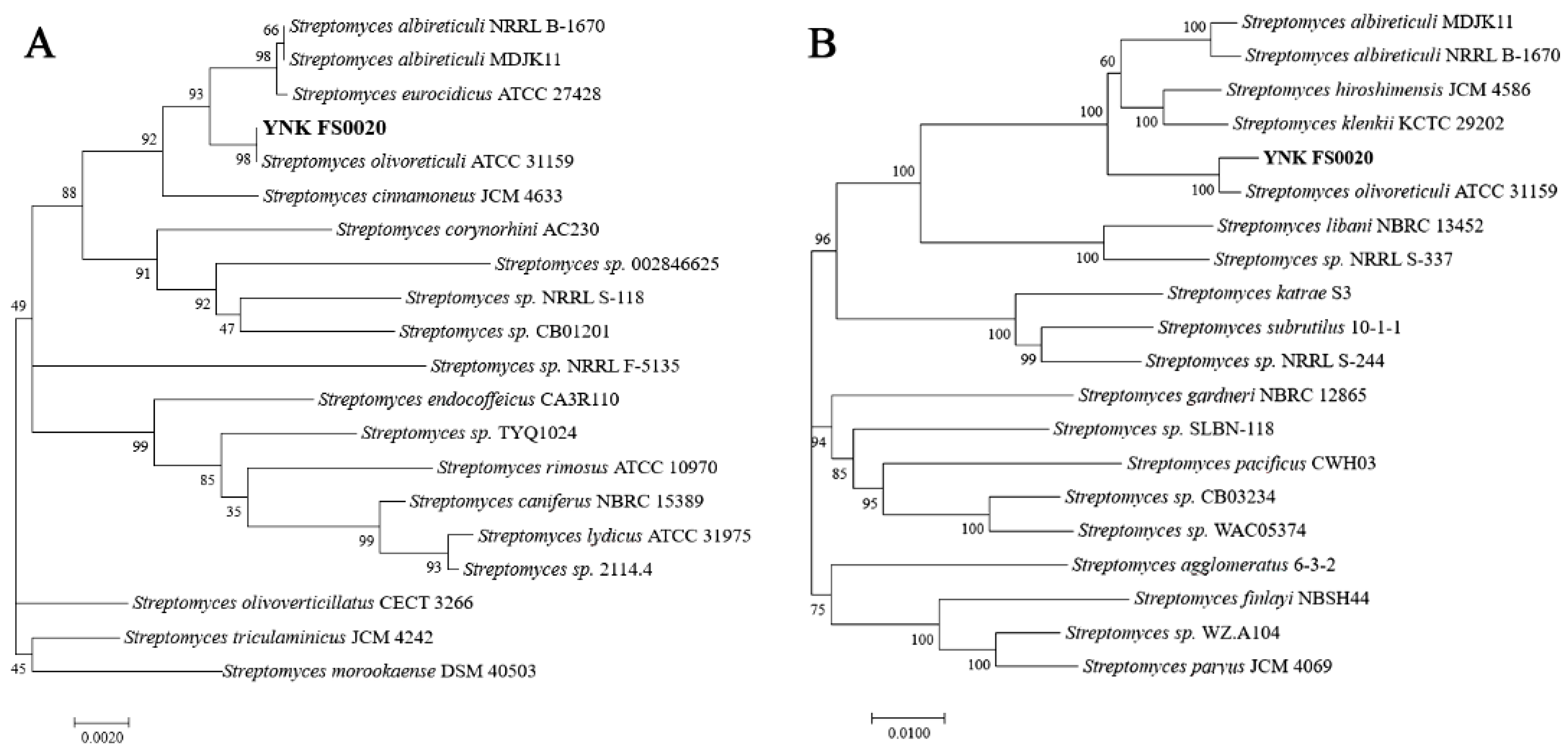 Microorganisms 13 01964 g002