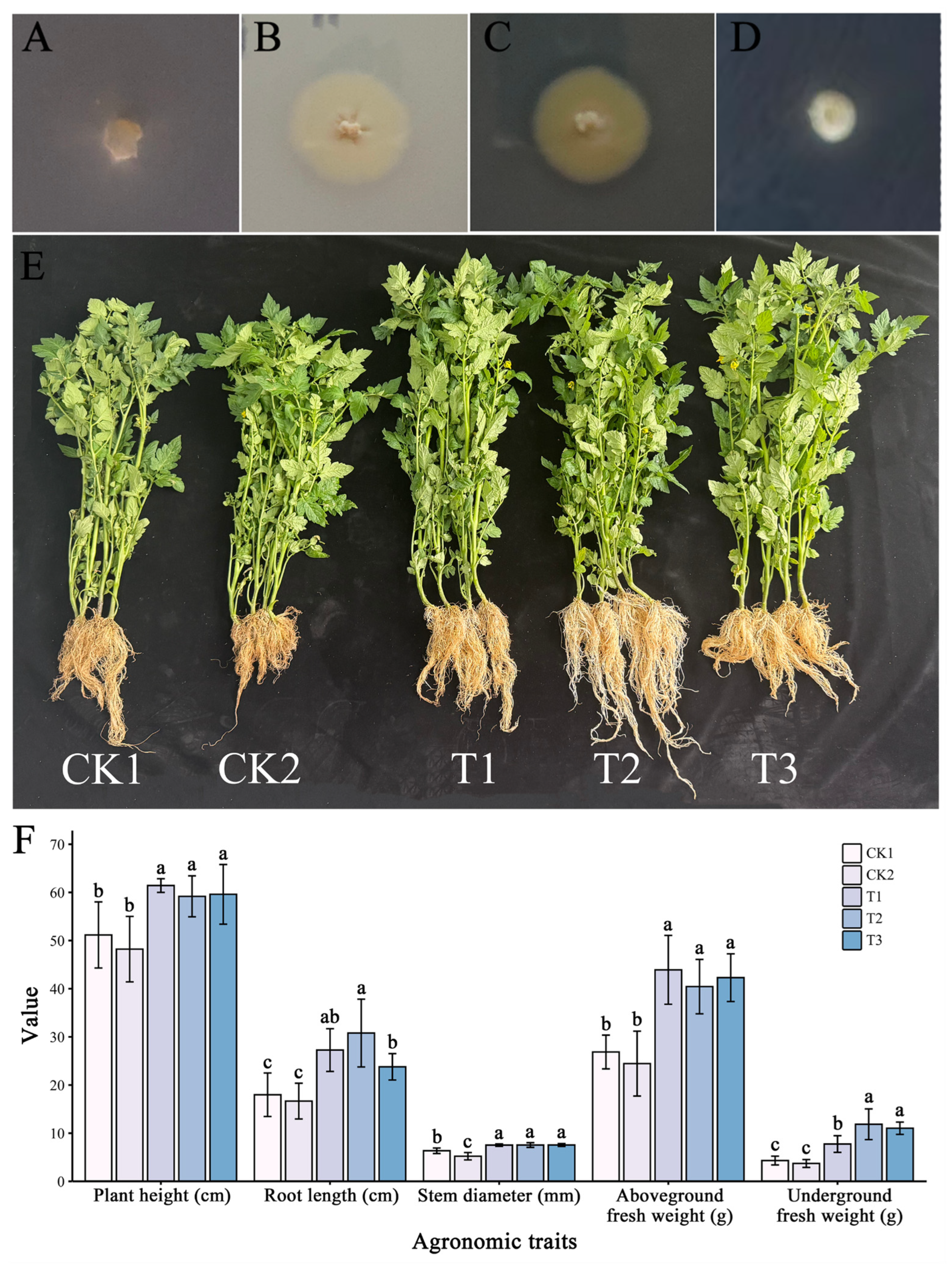 Microorganisms 13 01964 g004