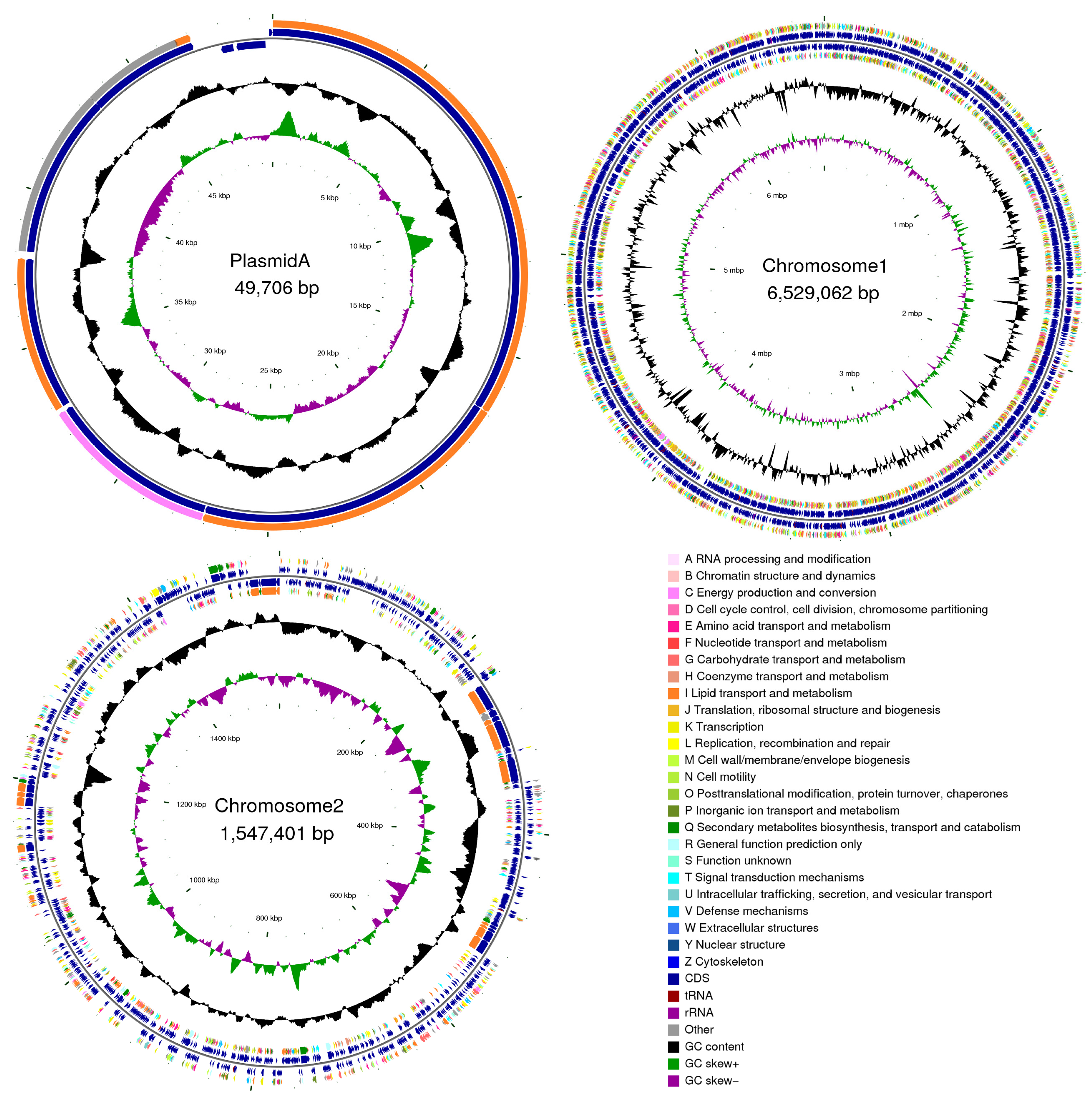 Microorganisms 13 01964 g005