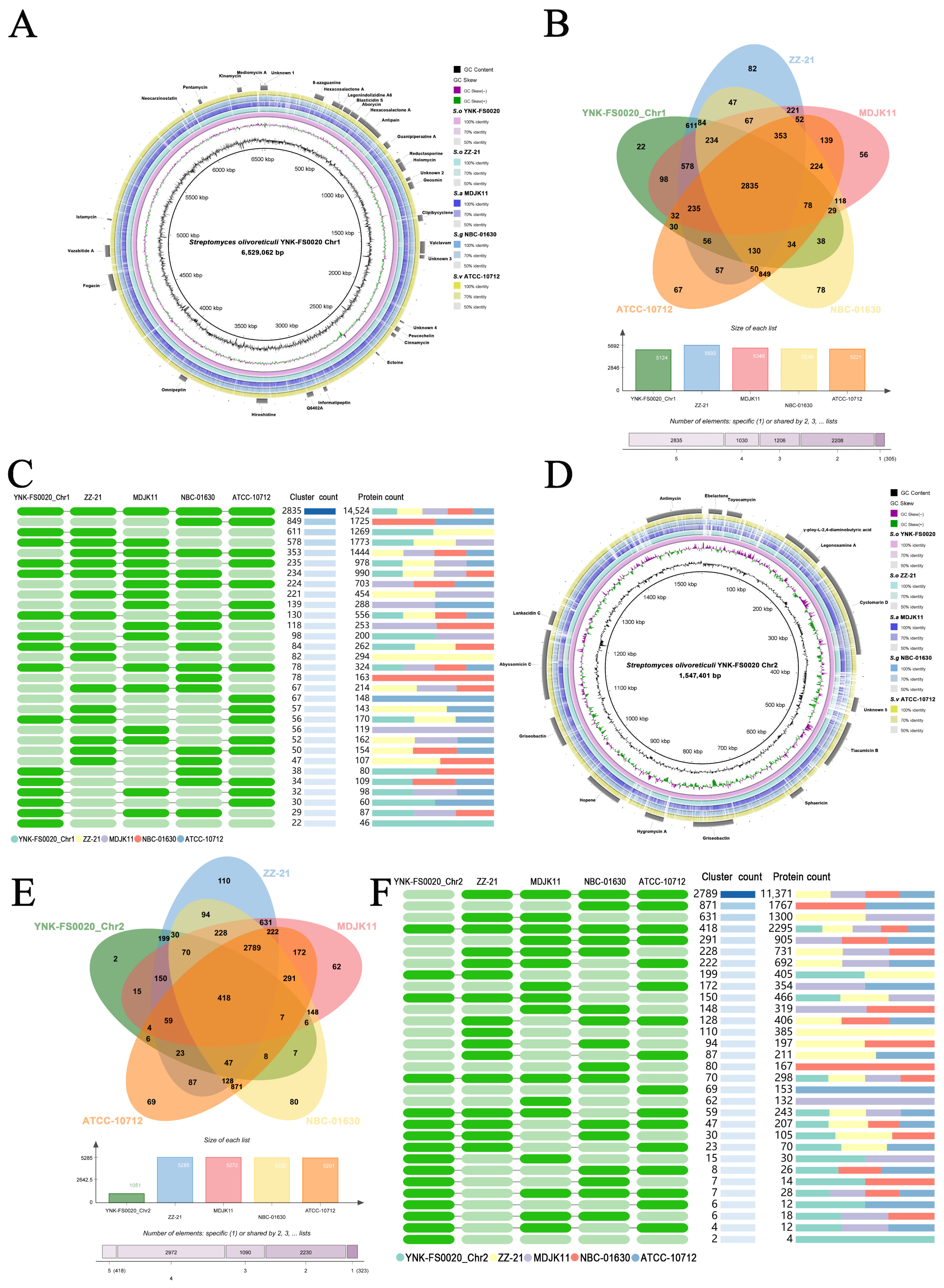 Microorganisms 13 01964 g006