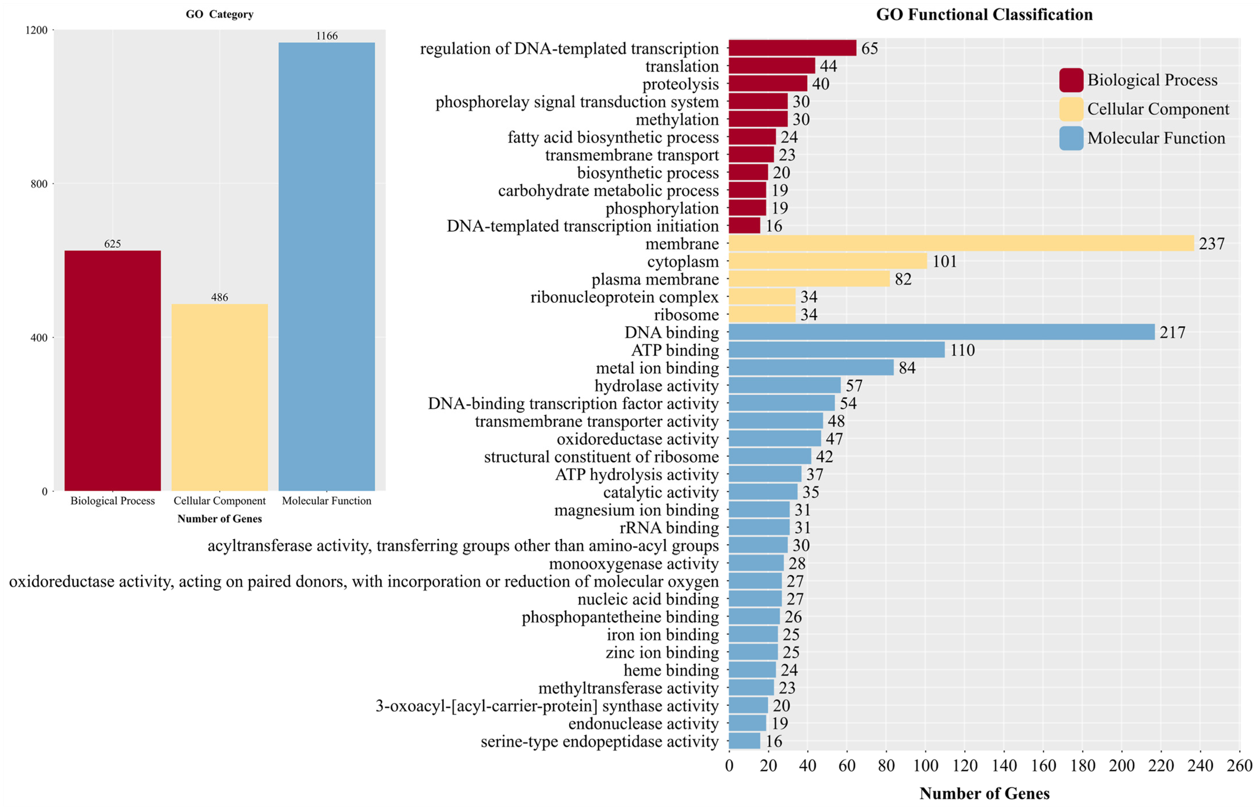 Microorganisms 13 01964 g010