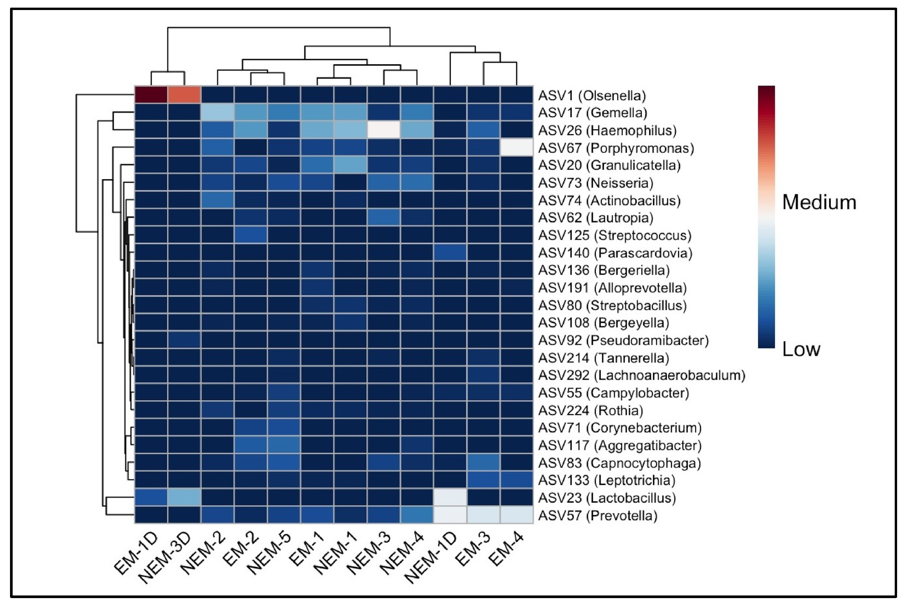 Microorganisms 13 01966 g004