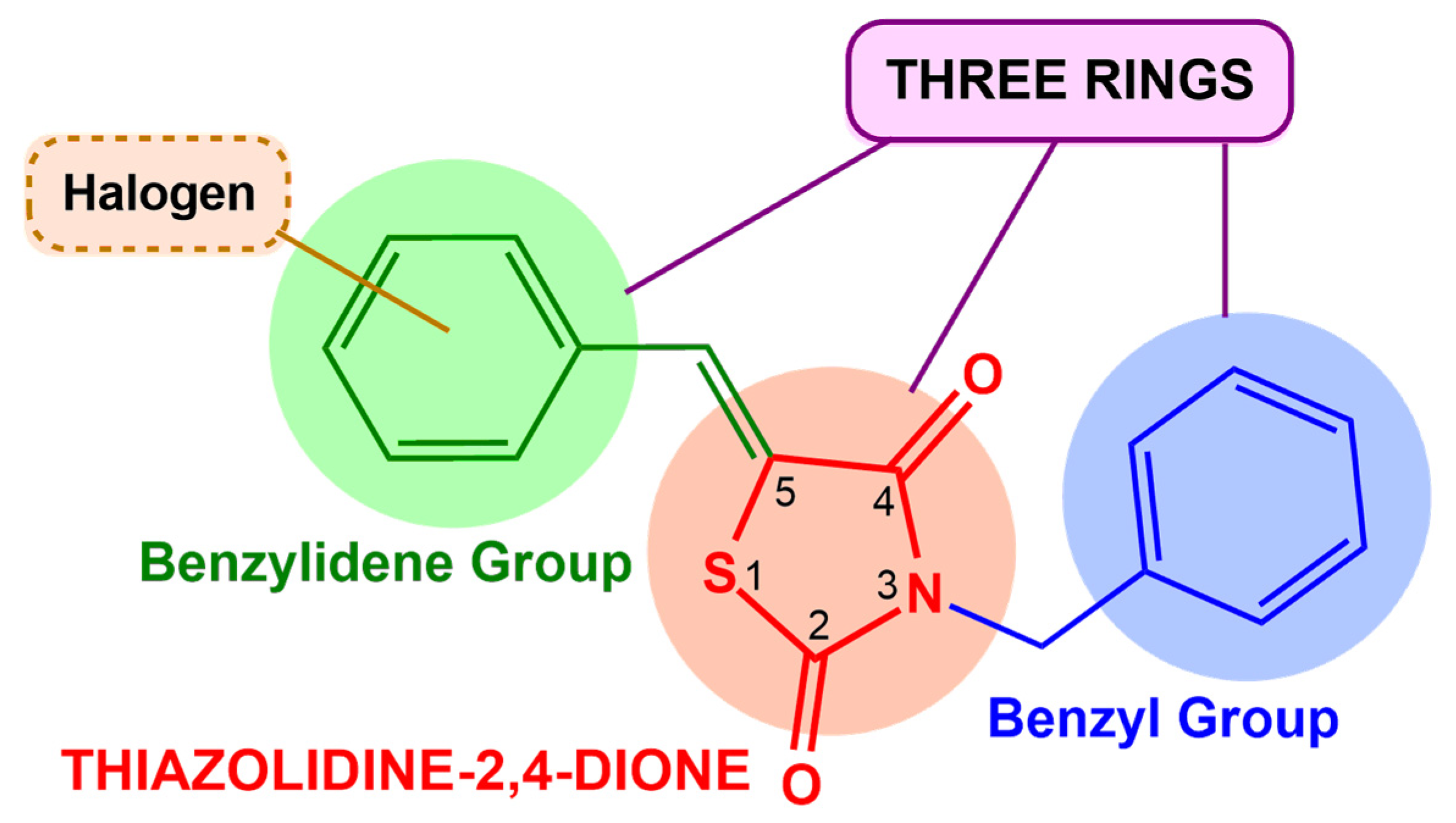 Microorganisms 13 01967 g007