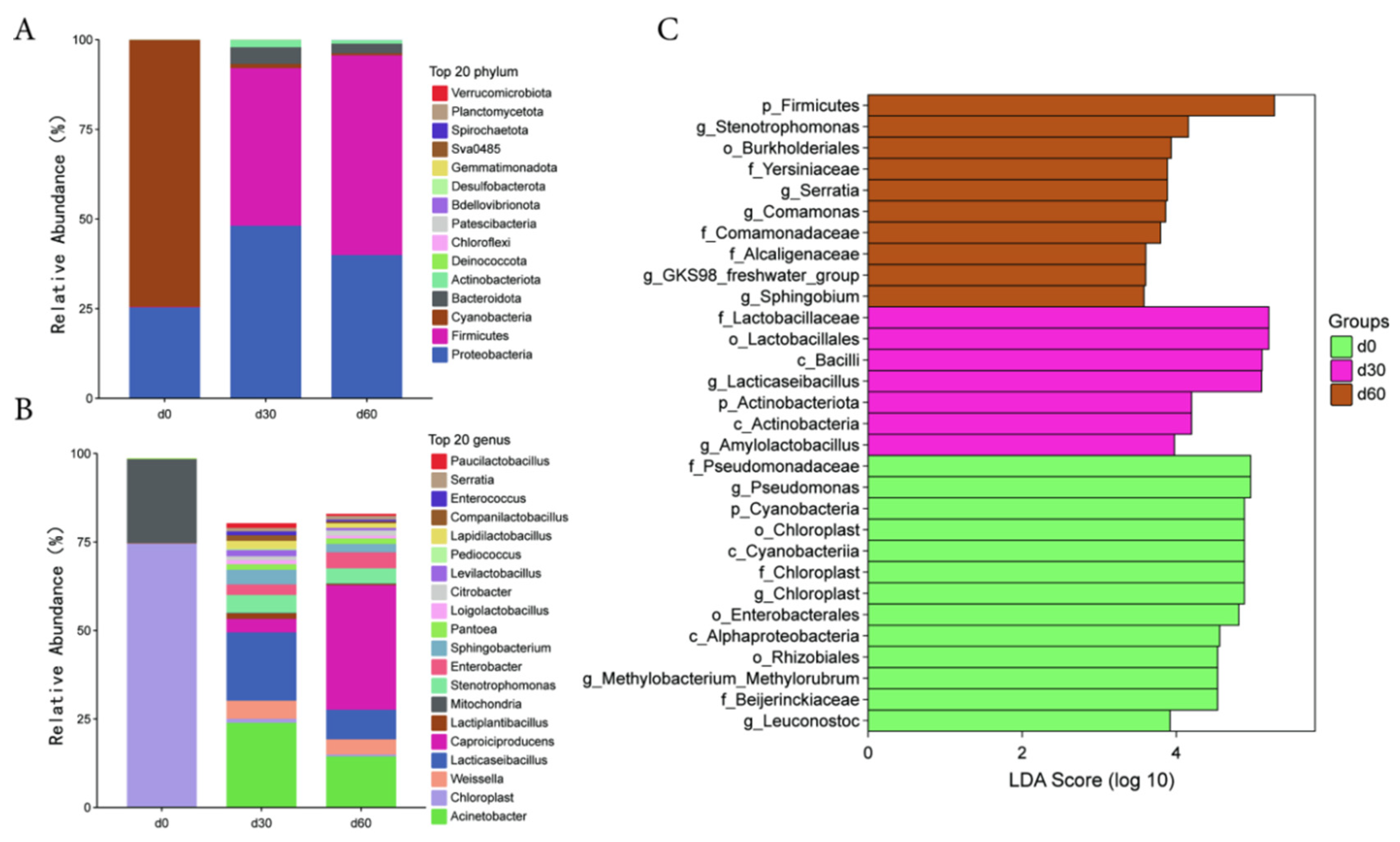 Microorganisms 13 01973 g002 Microorganisms 13 01973 g002