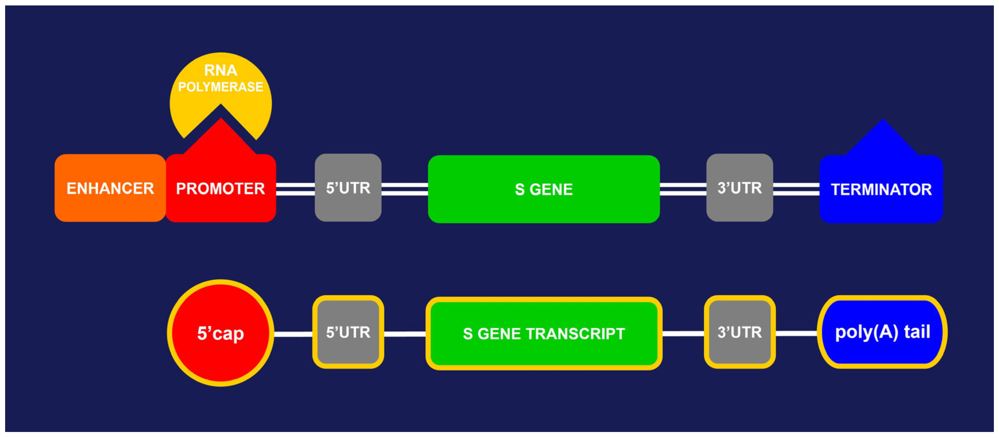 Microorganisms 13 01975 g001 Microorganisms 13 01975 g001