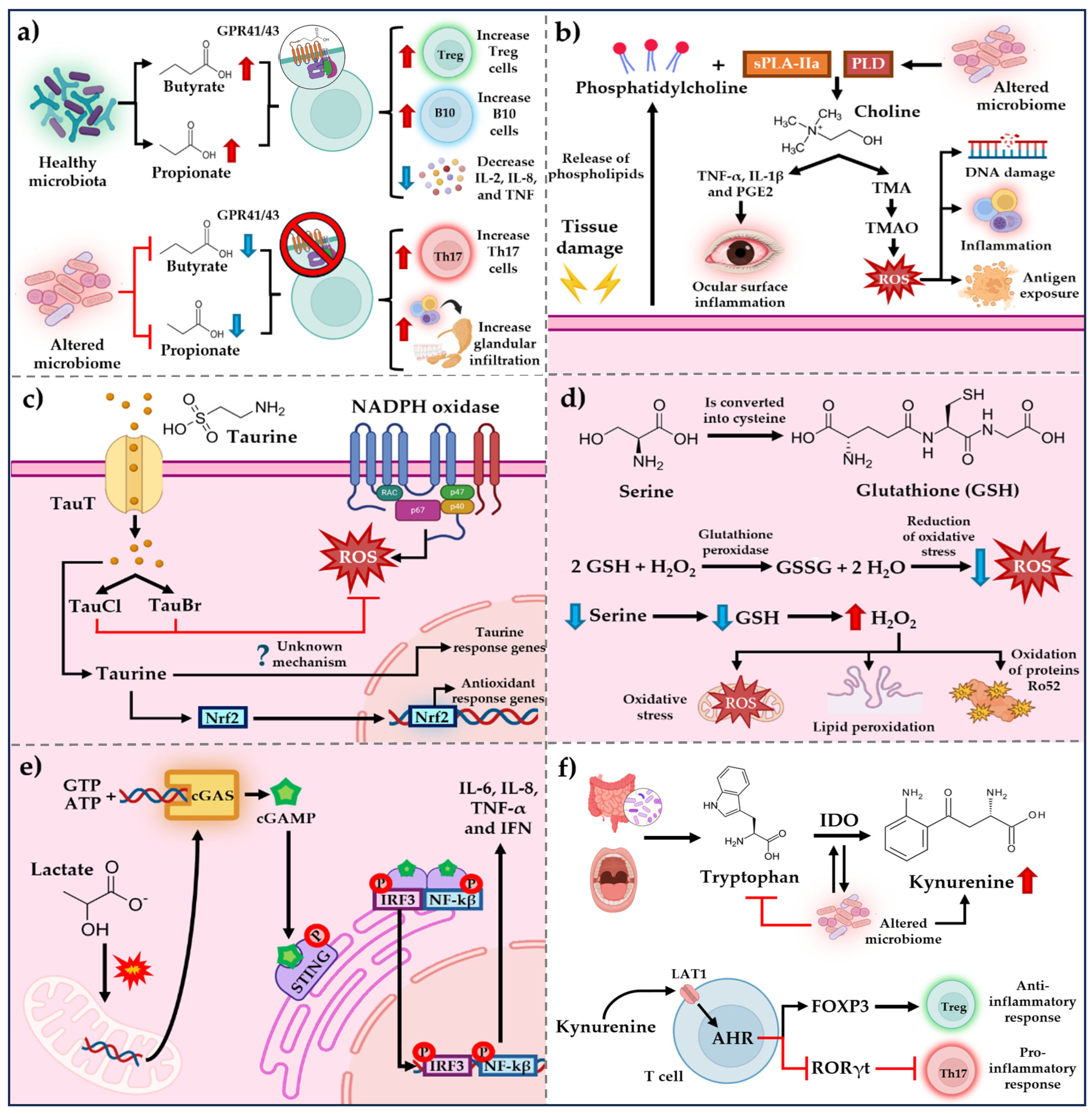 Microorganisms 13 01979 g001