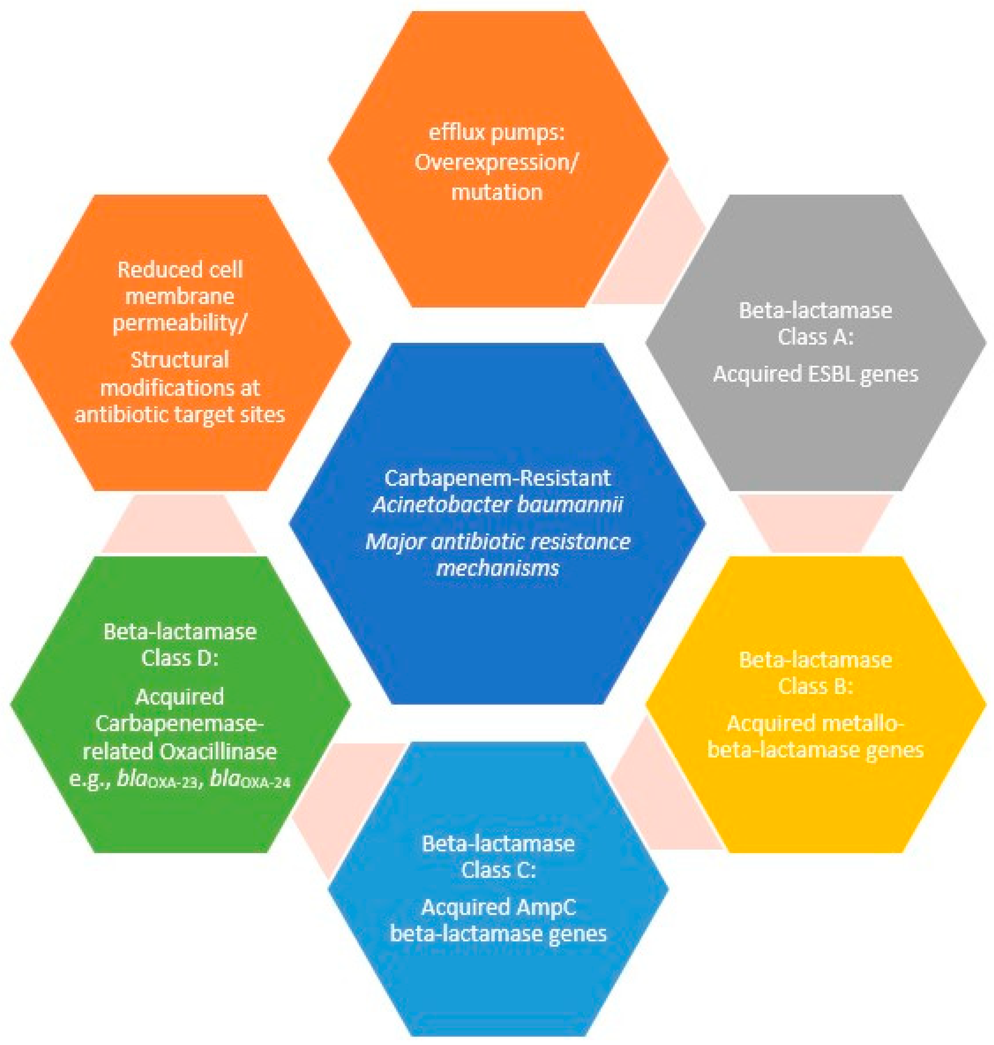 Microorganisms 13 01983 g001 Microorganisms 13 01983 g001