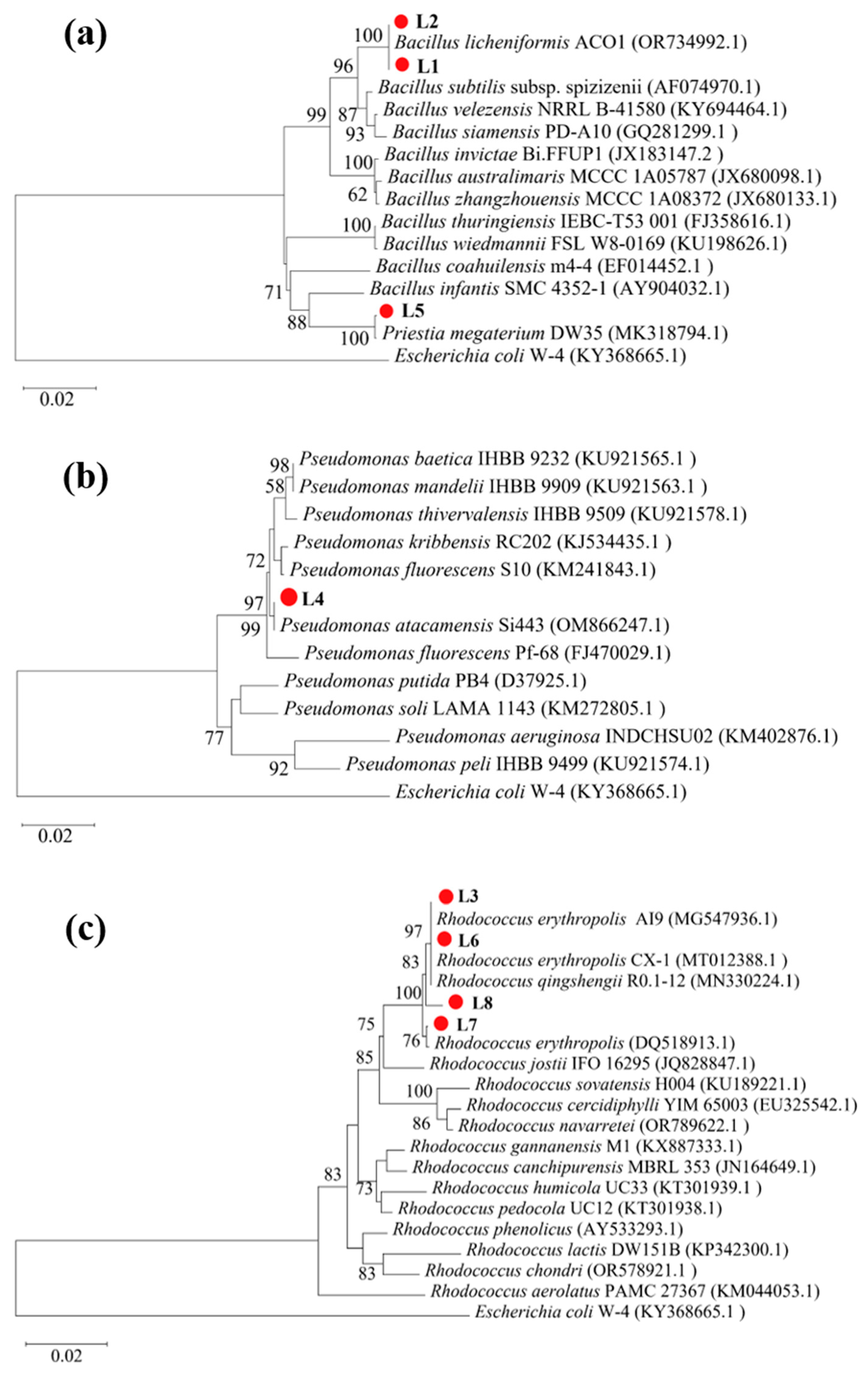Microorganisms 13 01985 g001