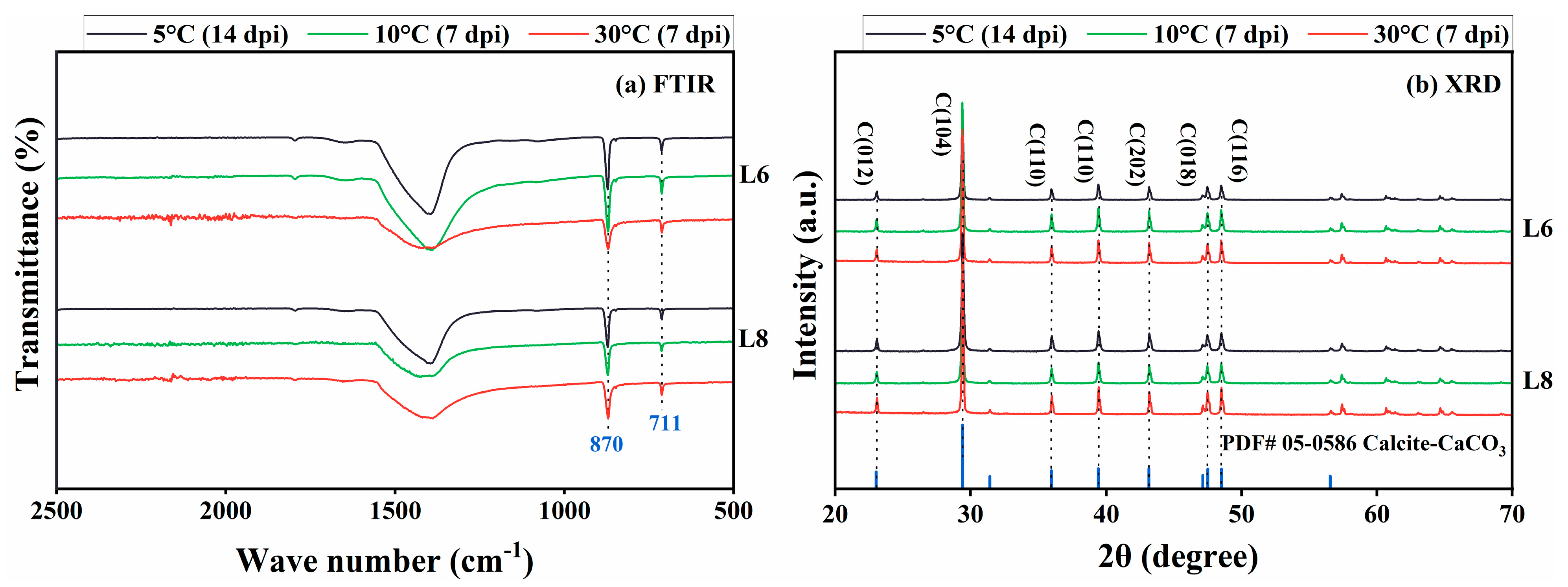Microorganisms 13 01985 g010