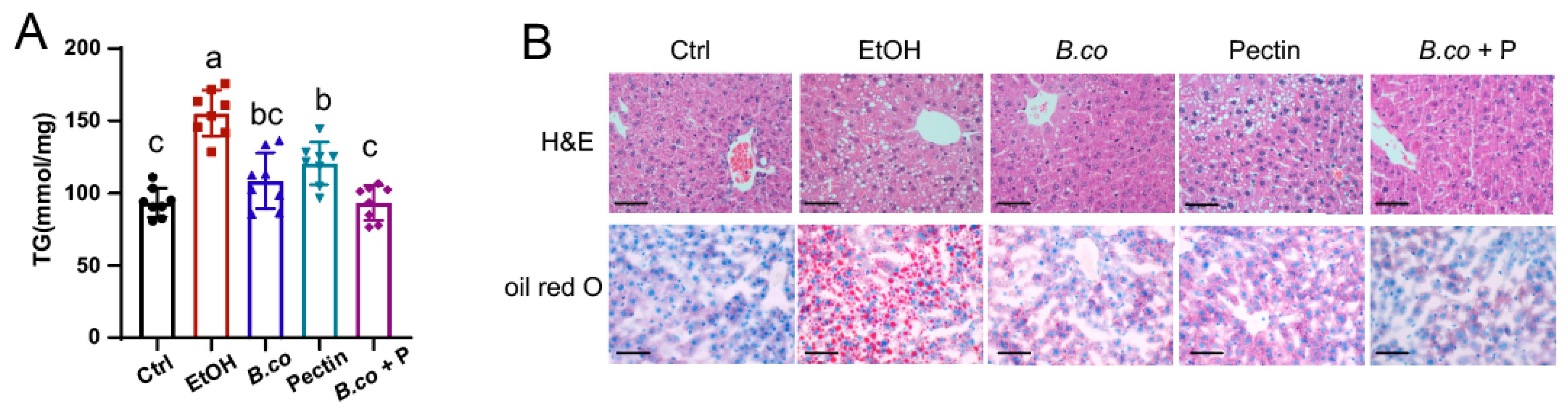 Microorganisms 13 01986 g002