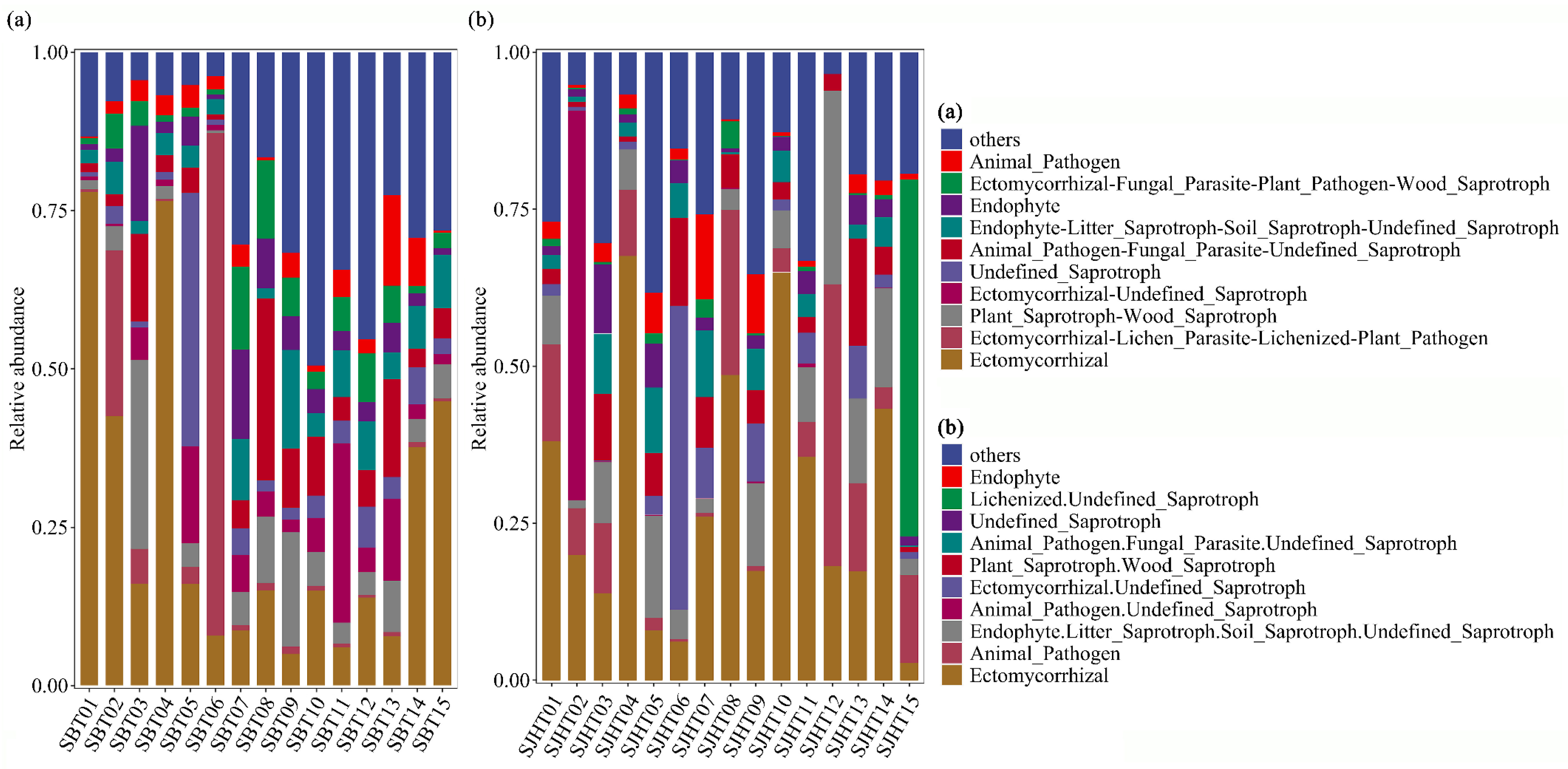 Microorganisms 13 01989 g001