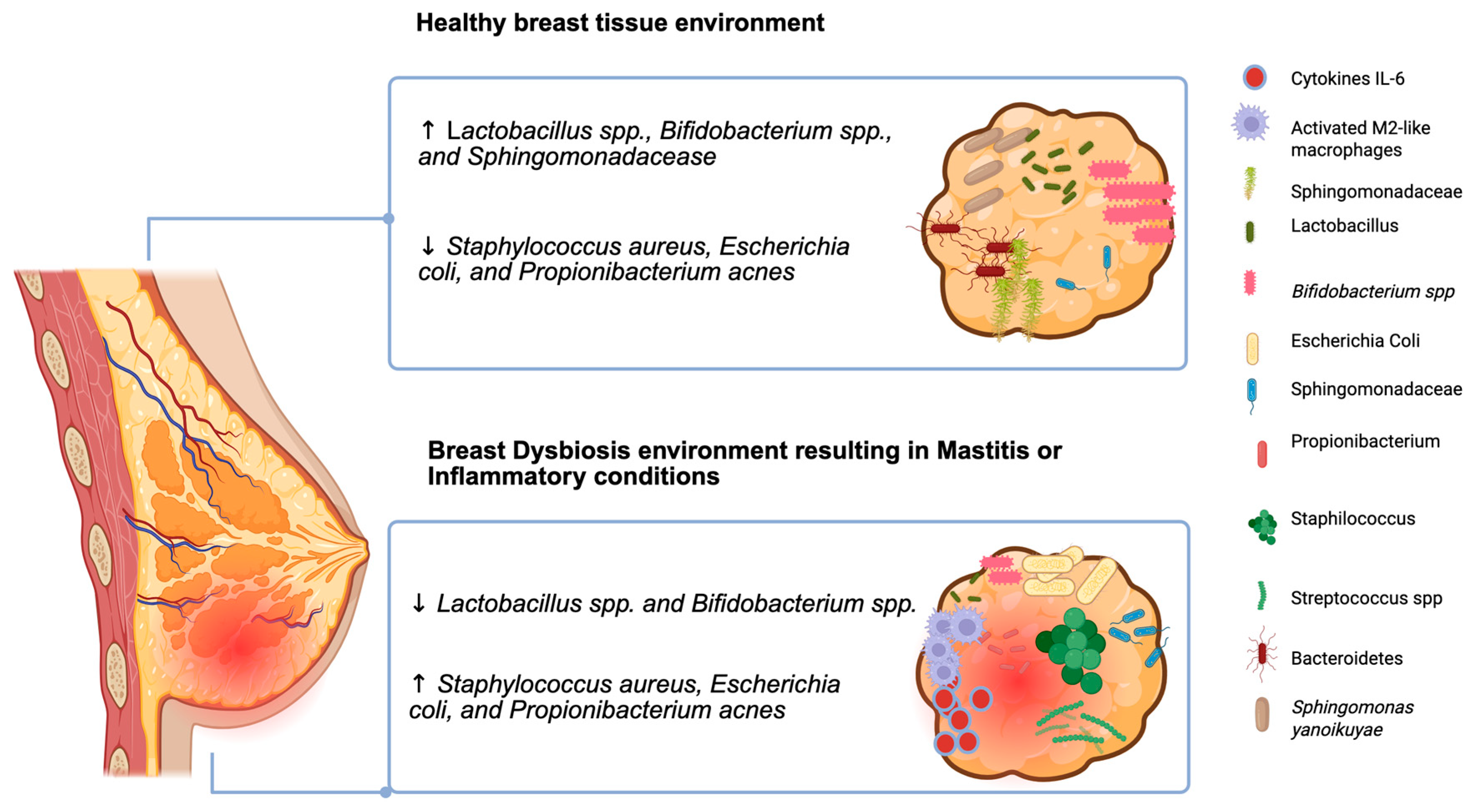 Microorganisms 13 01995 g001