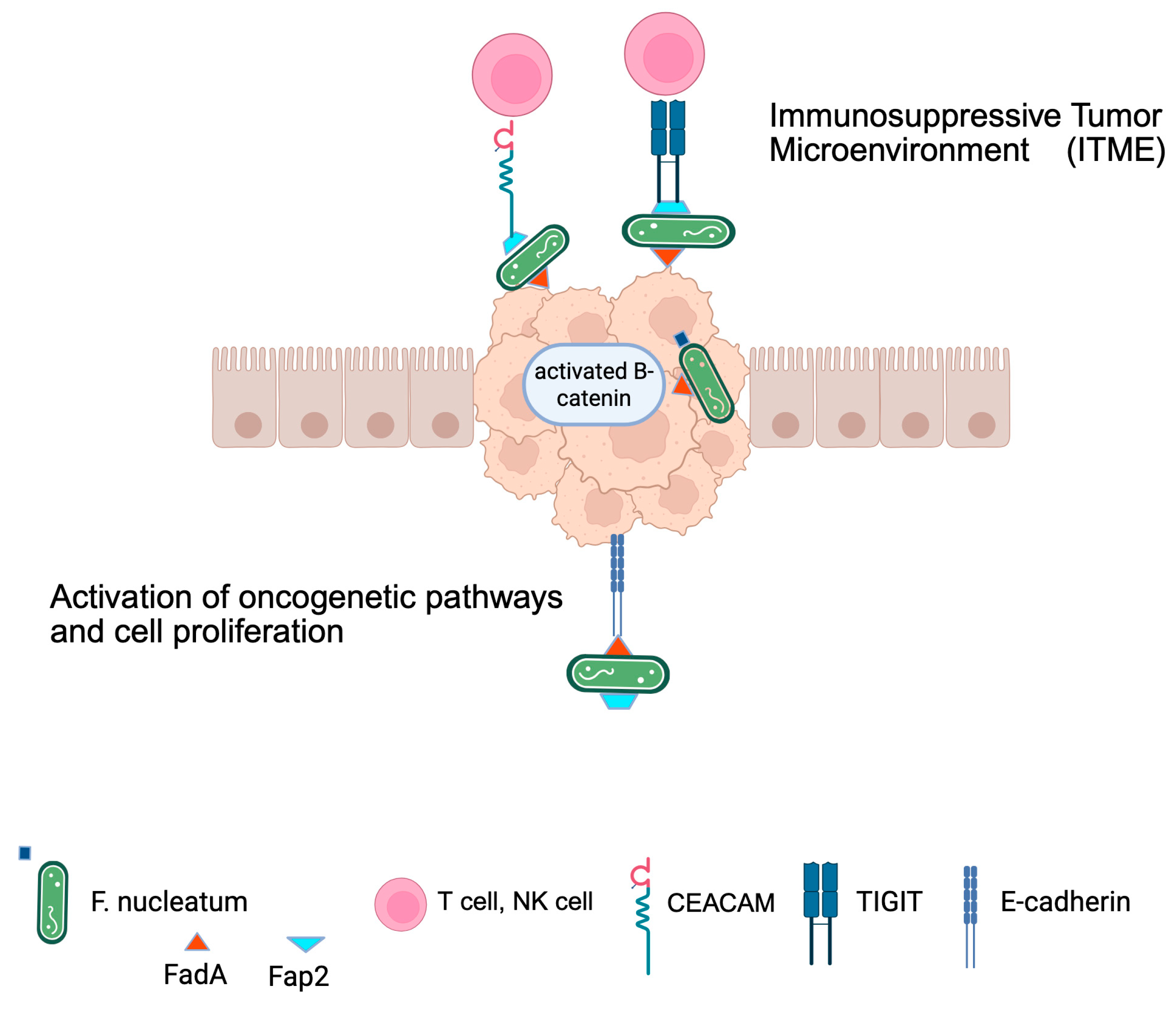 Microorganisms 13 01995 g003