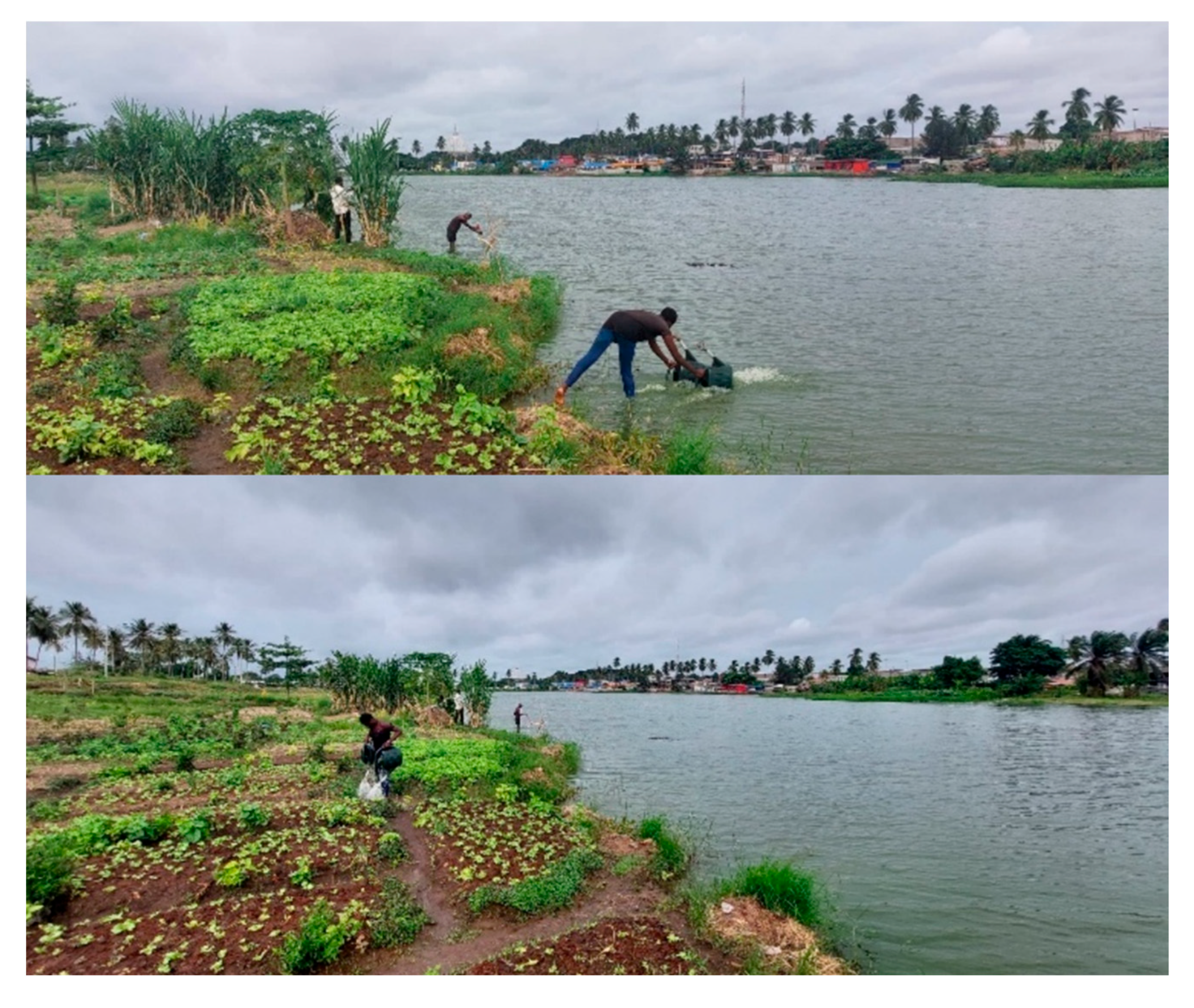 Microorganisms 13 01997 g003 Microorganisms 13 01997 g003