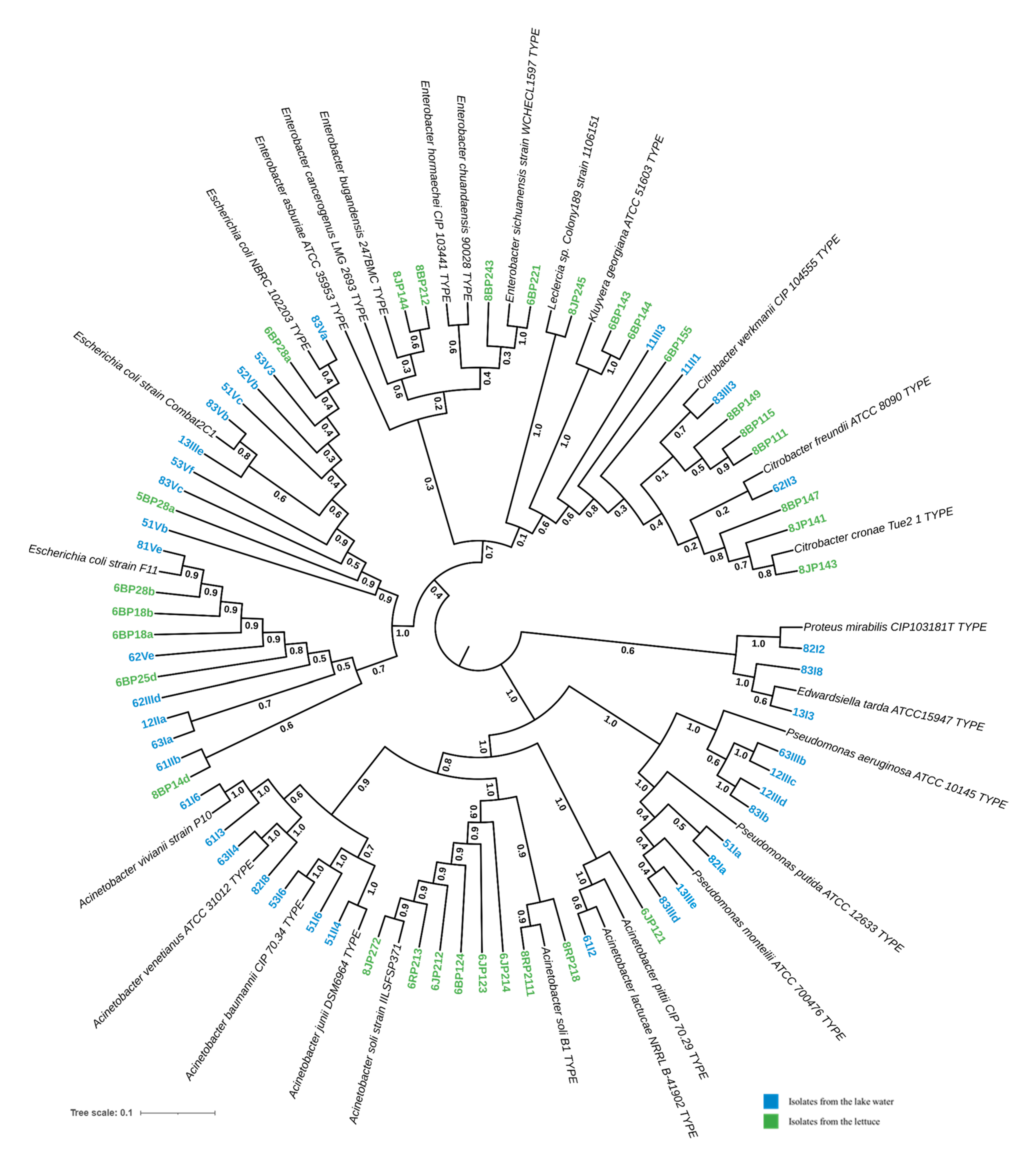 Microorganisms 13 01997 g004 Microorganisms 13 01997 g004
