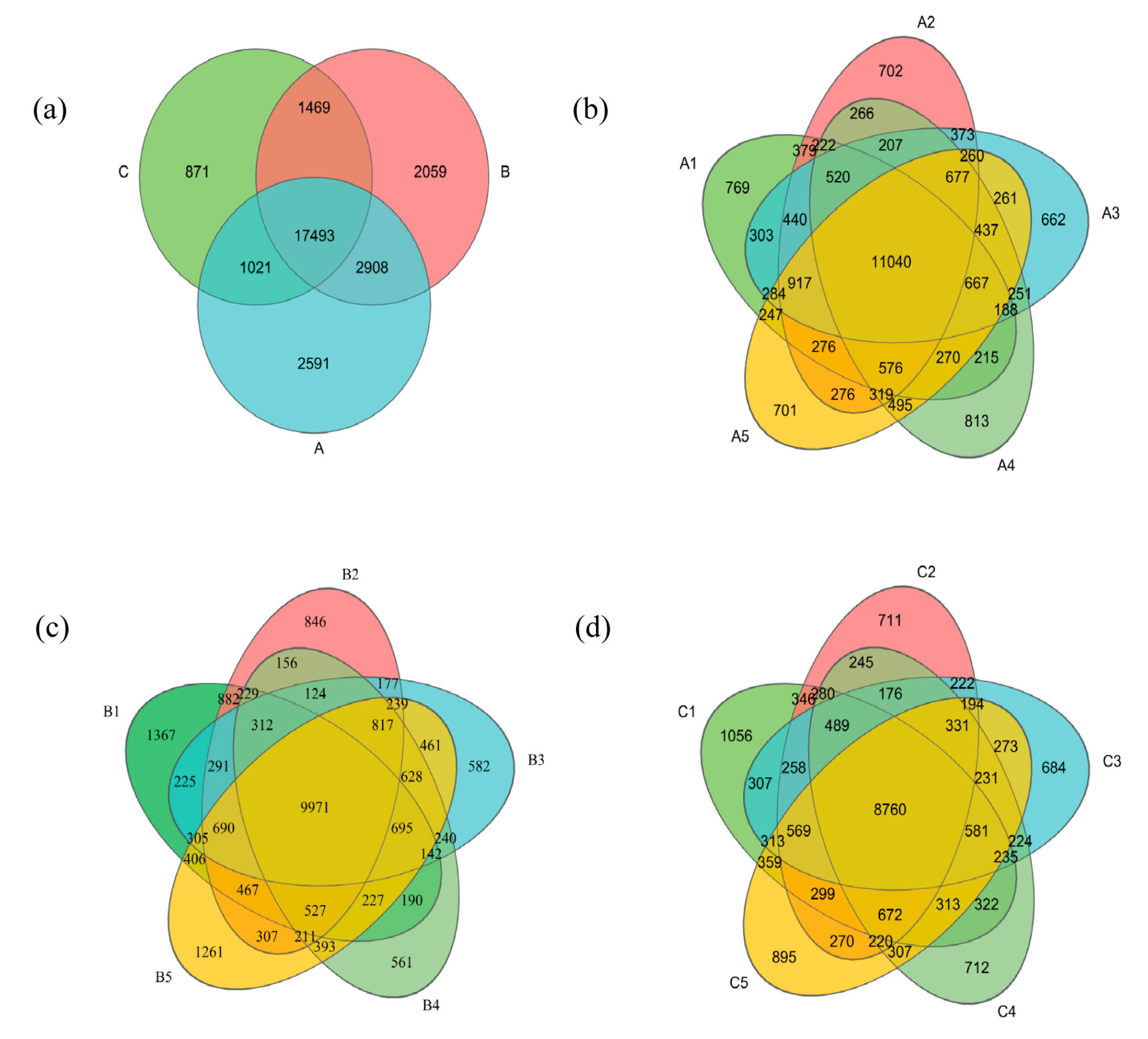 Microorganisms 13 01998 g003 Microorganisms 13 01998 g003