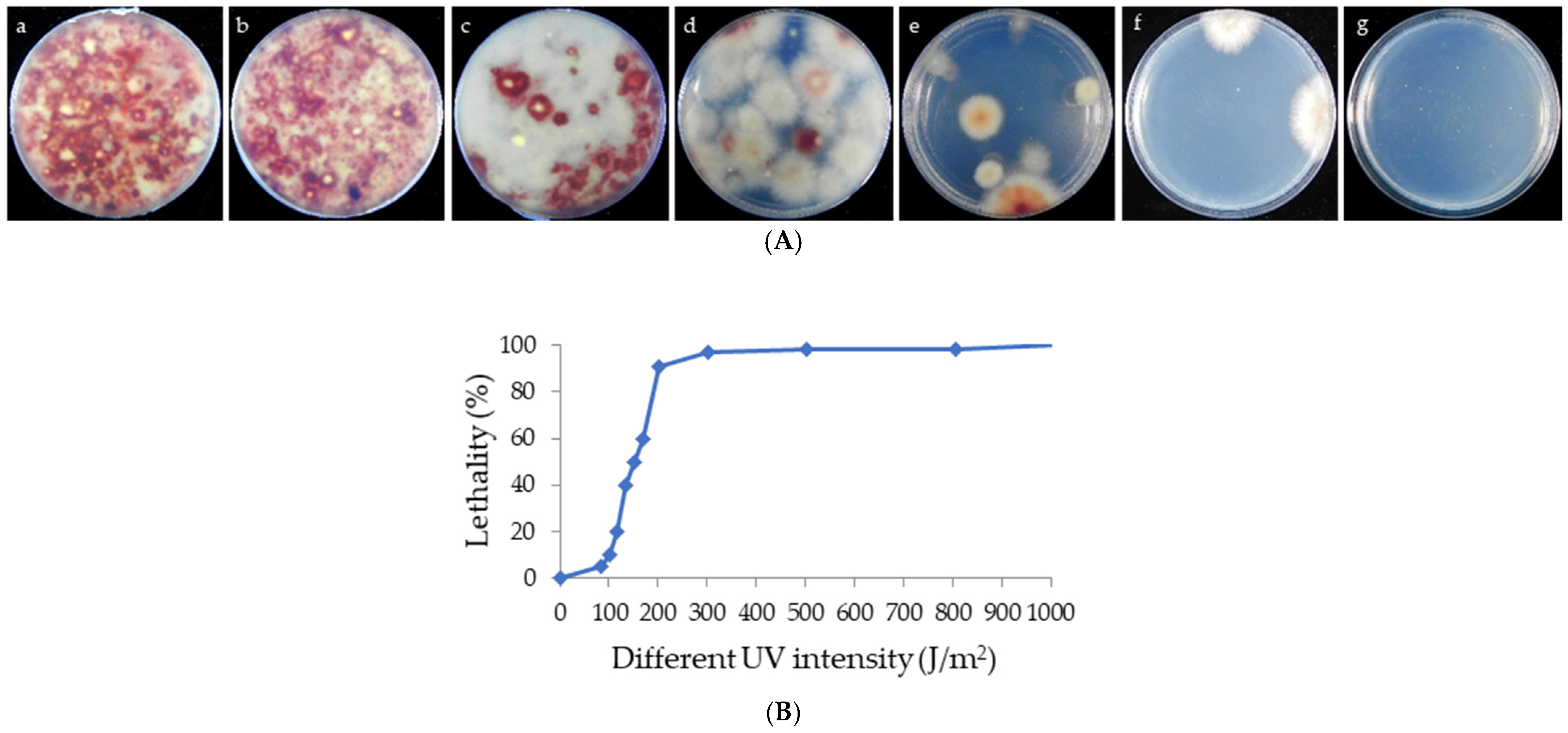 Microorganisms 13 01999 g002