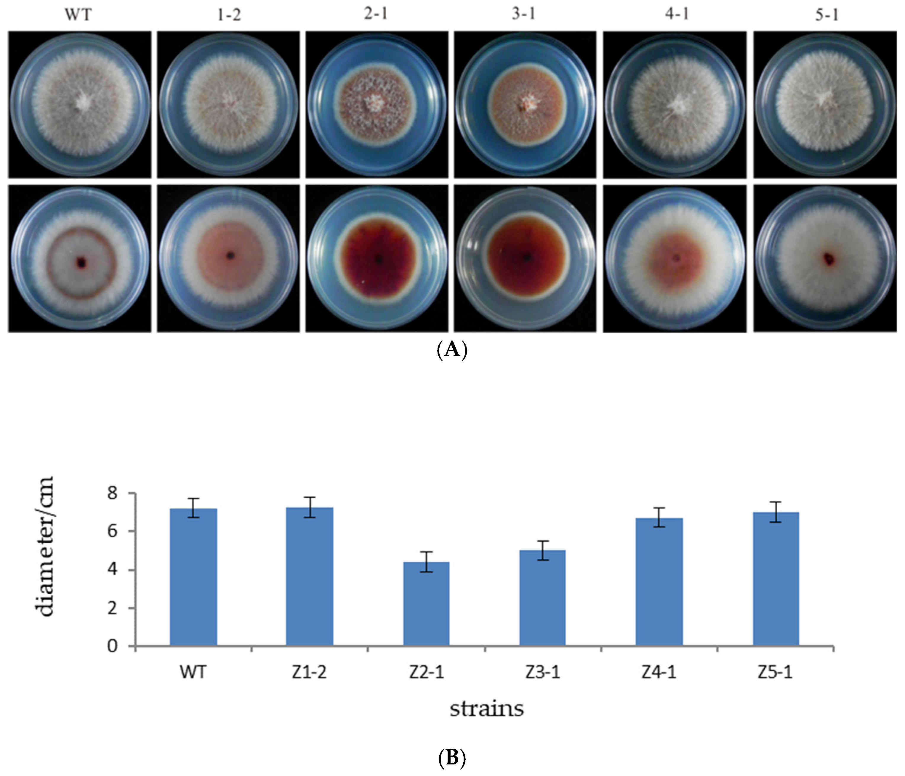 Microorganisms 13 01999 g003