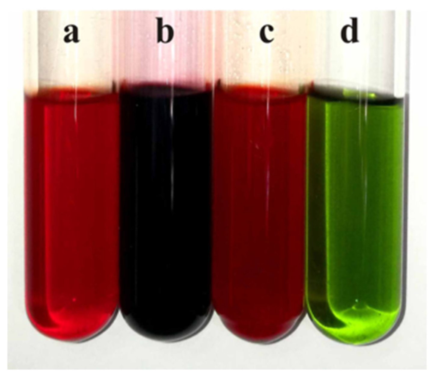Microorganisms 13 01999 g006