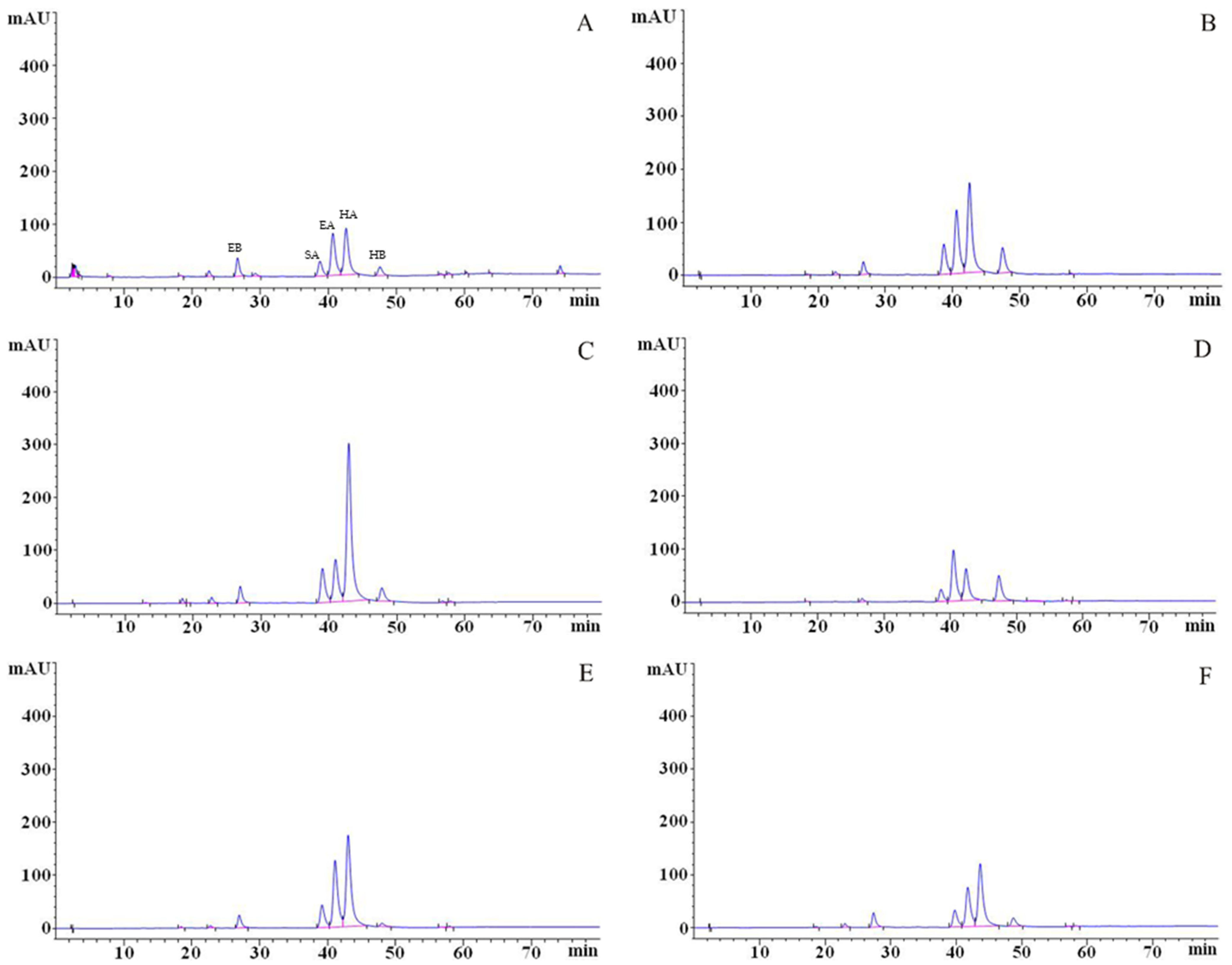 Microorganisms 13 01999 g007