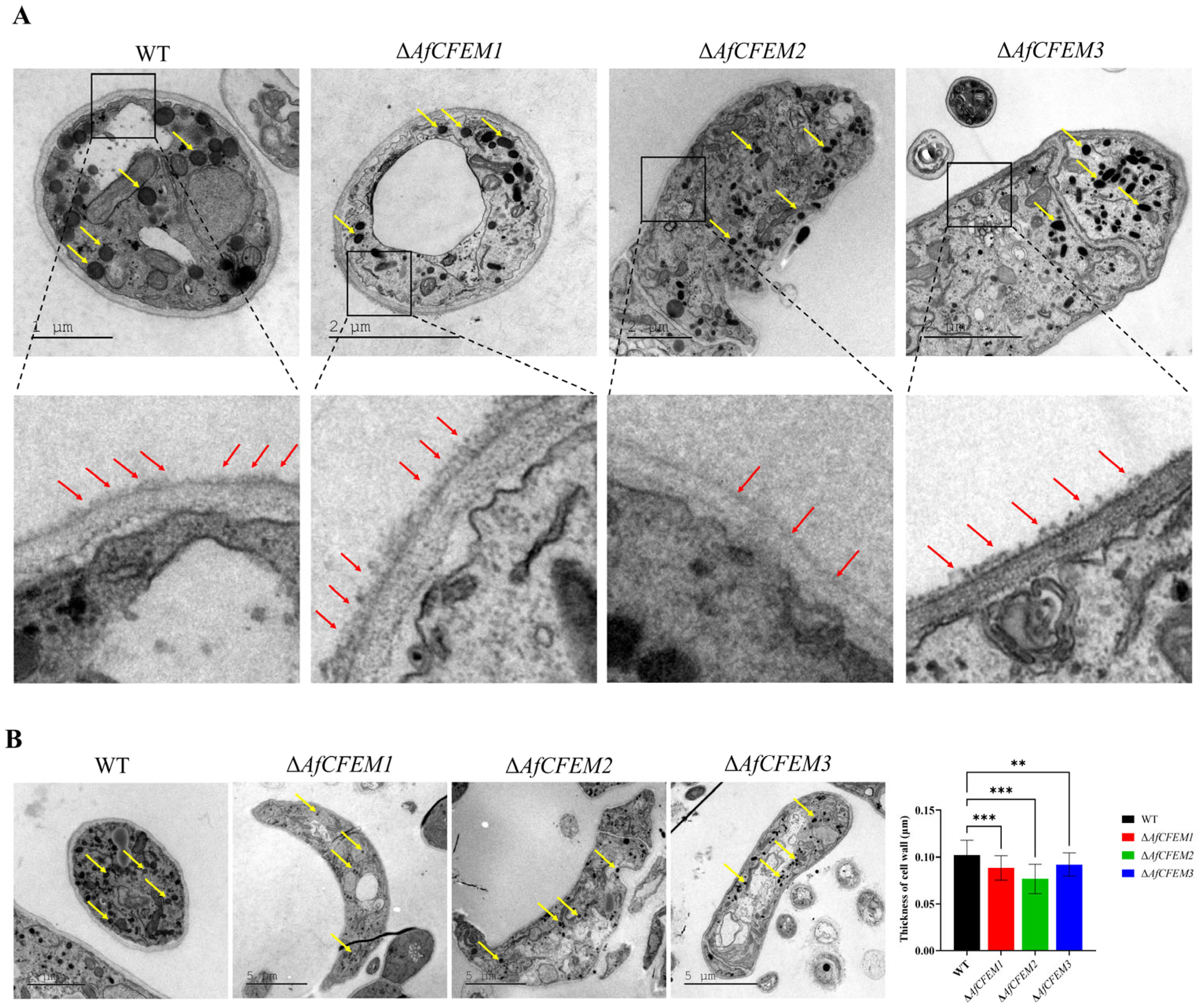 Microorganisms 13 02001 g005