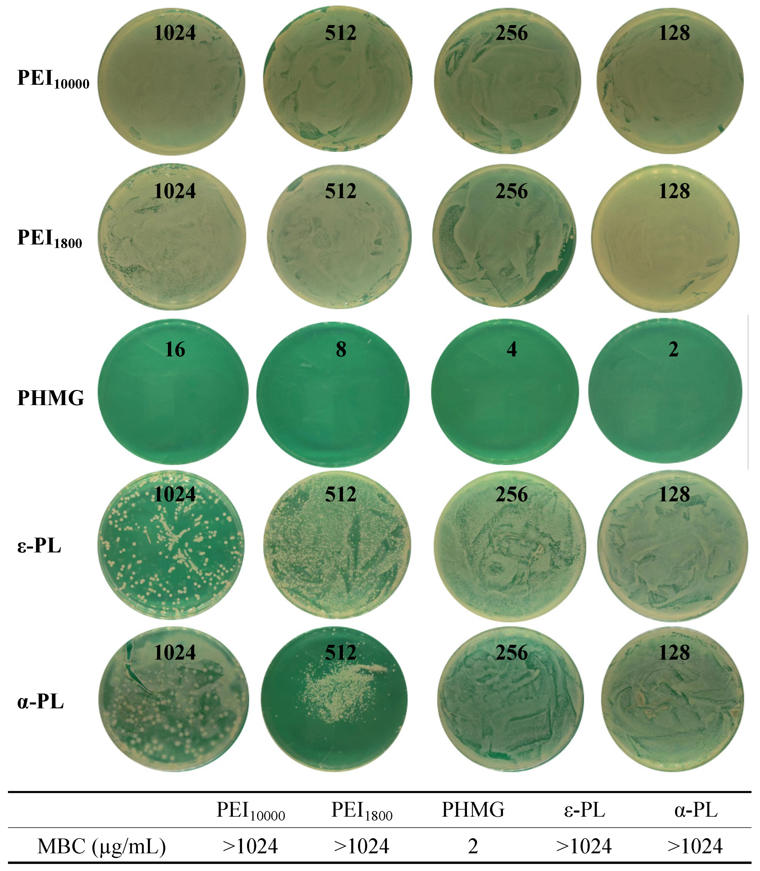 Microorganisms 13 02002 g004