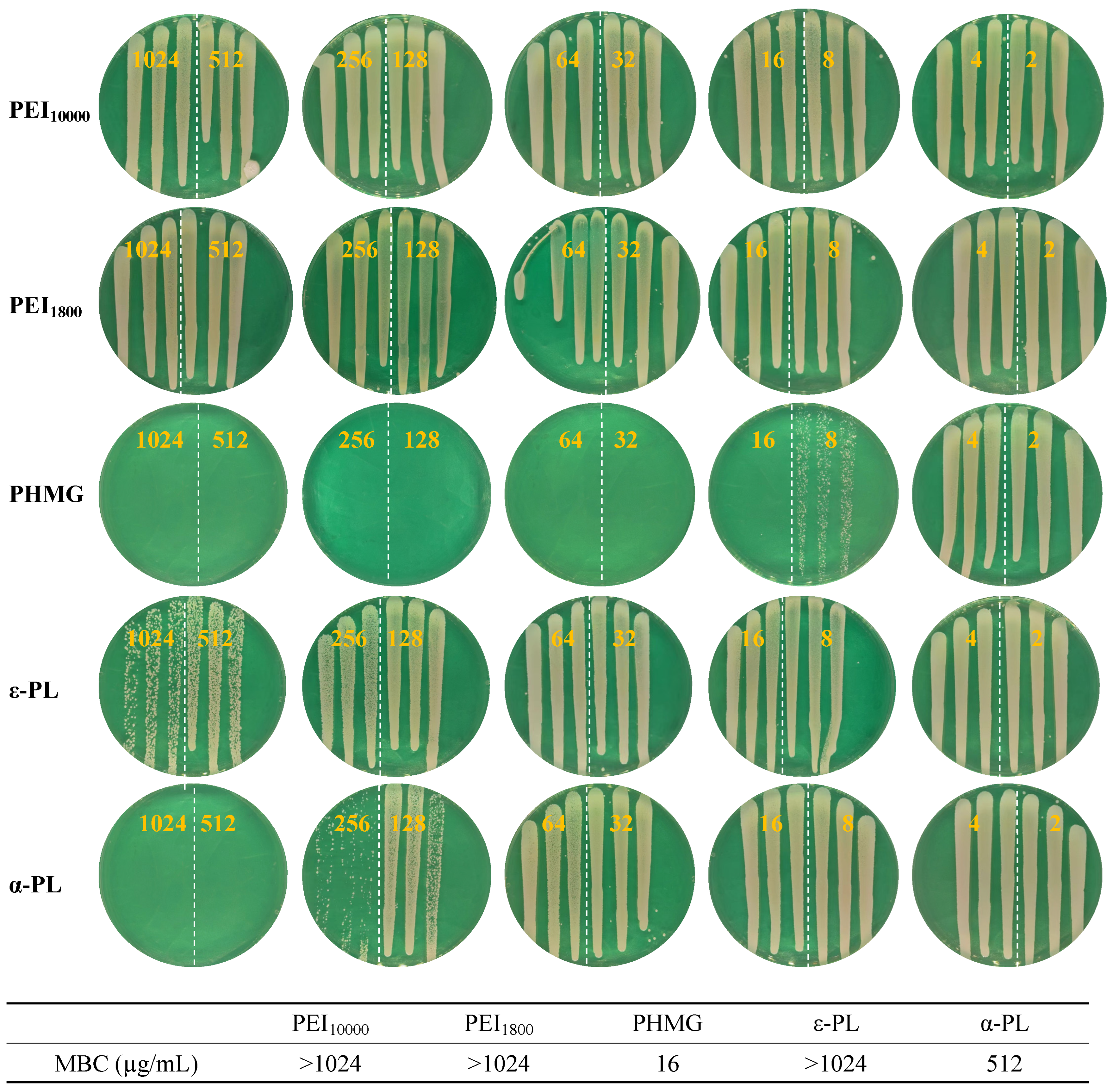 Microorganisms 13 02002 g005