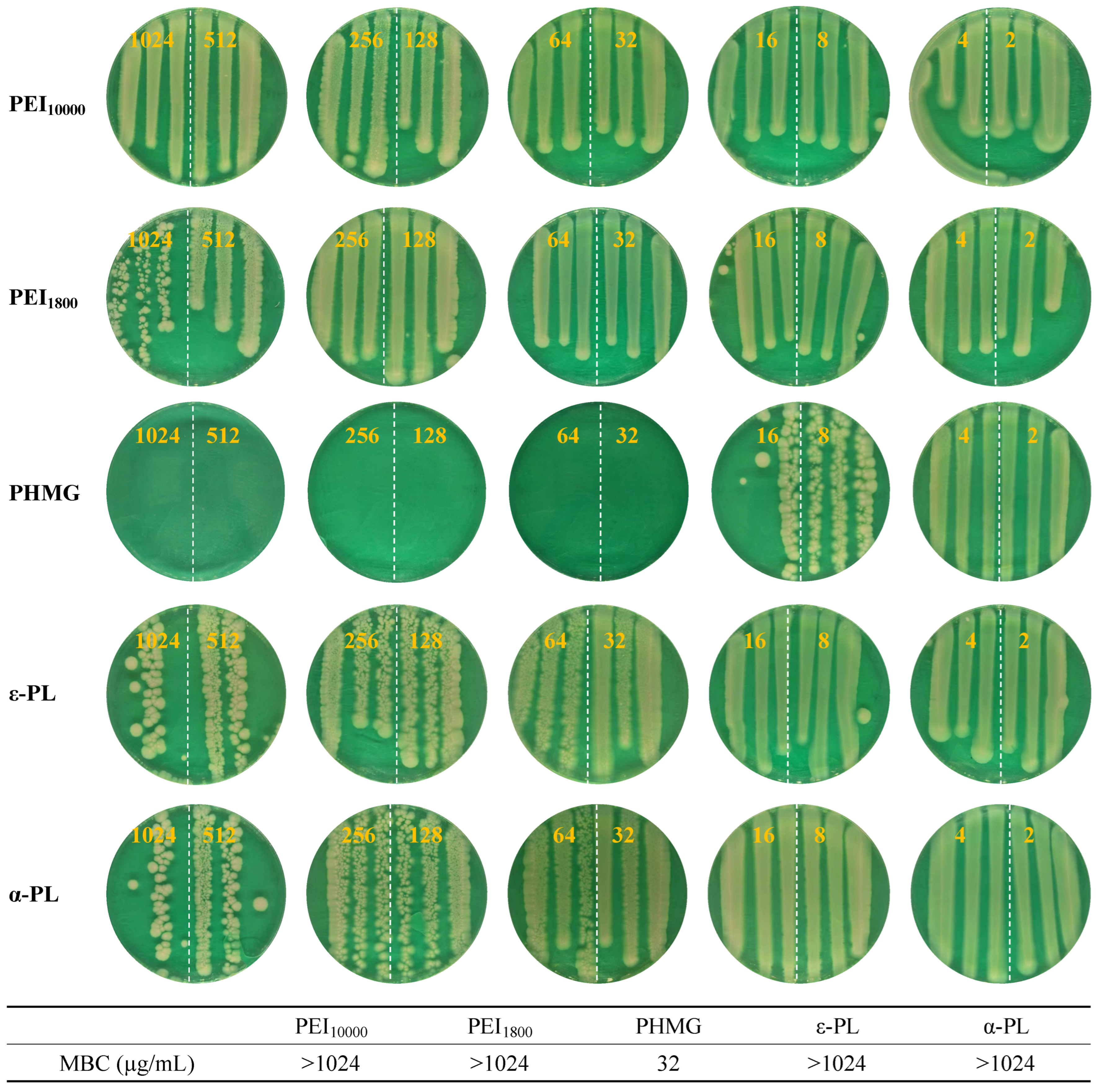 Microorganisms 13 02002 g006