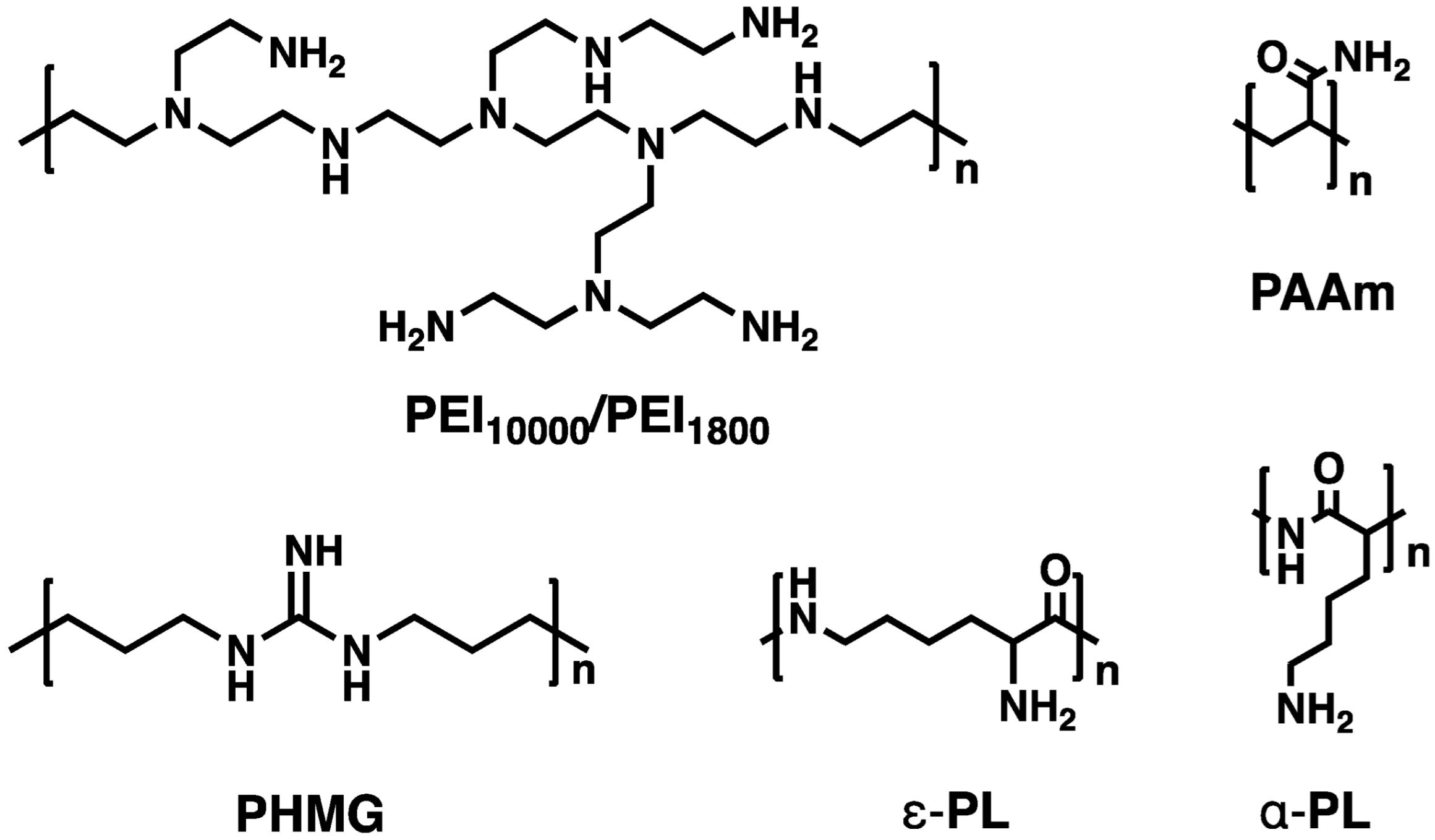 Microorganisms 13 02002 sch001