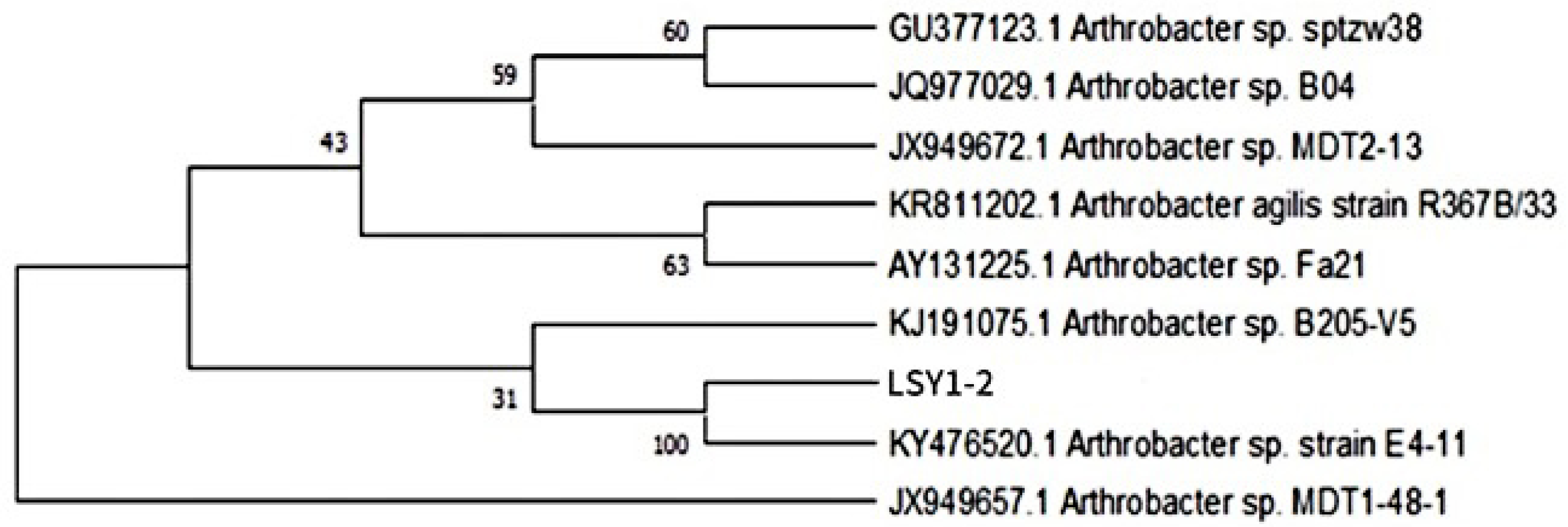 Microorganisms 13 02003 g002 Microorganisms 13 02003 g002