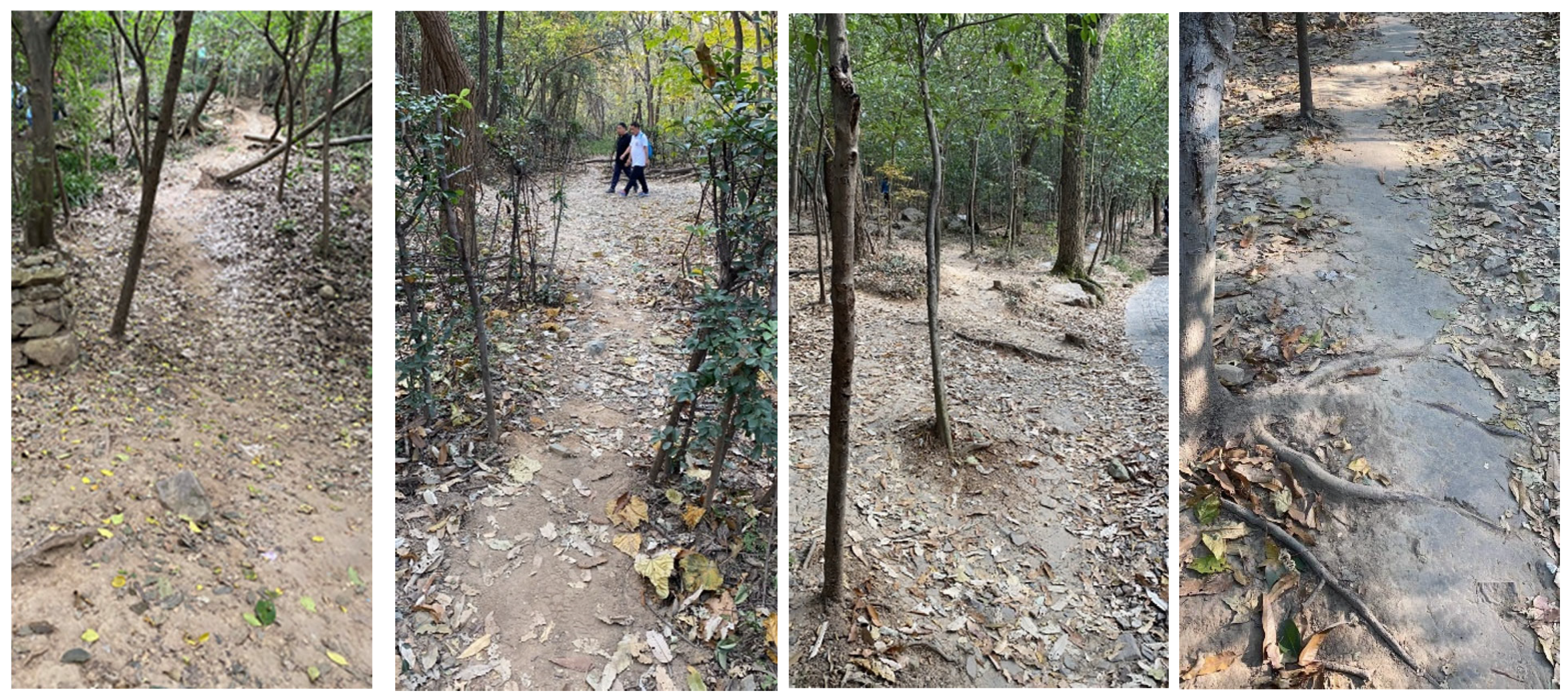 Microorganisms 13 02004 g001