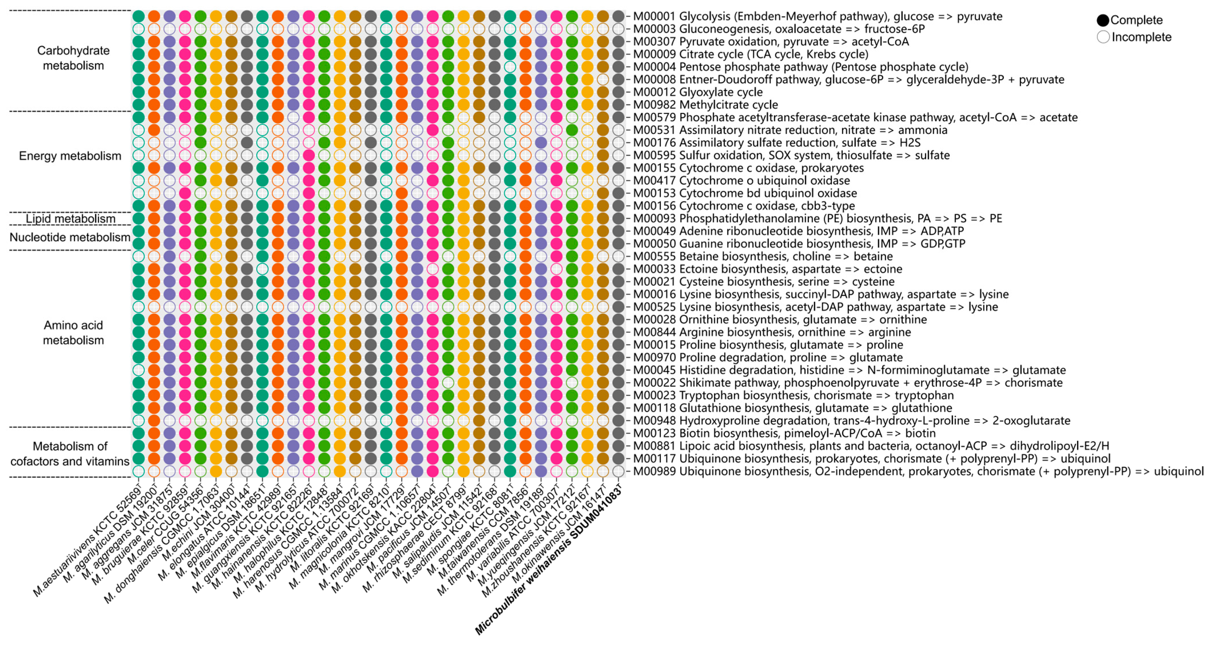 Microorganisms 13 02005 g005
