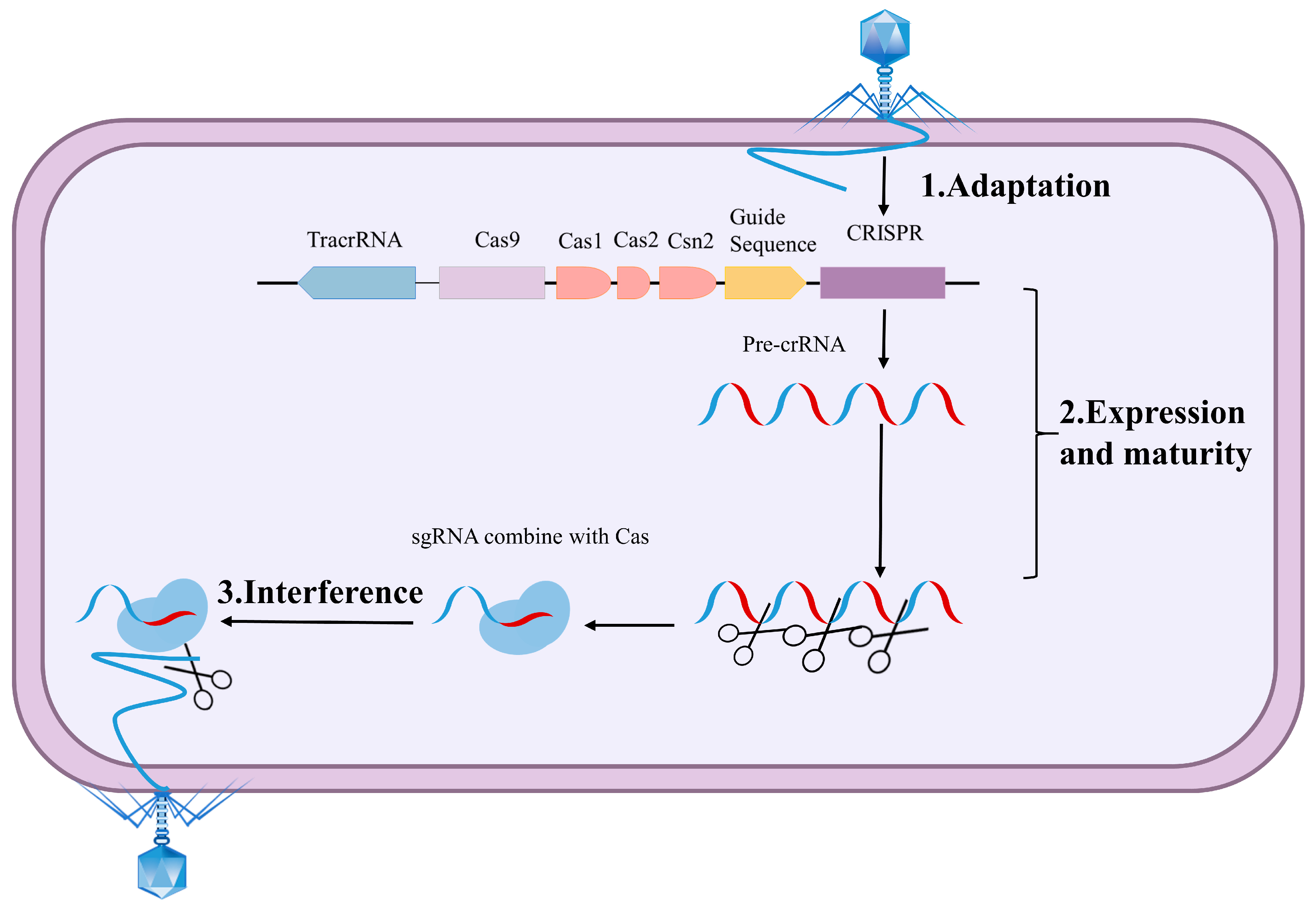 Microorganisms 13 02006 g002
