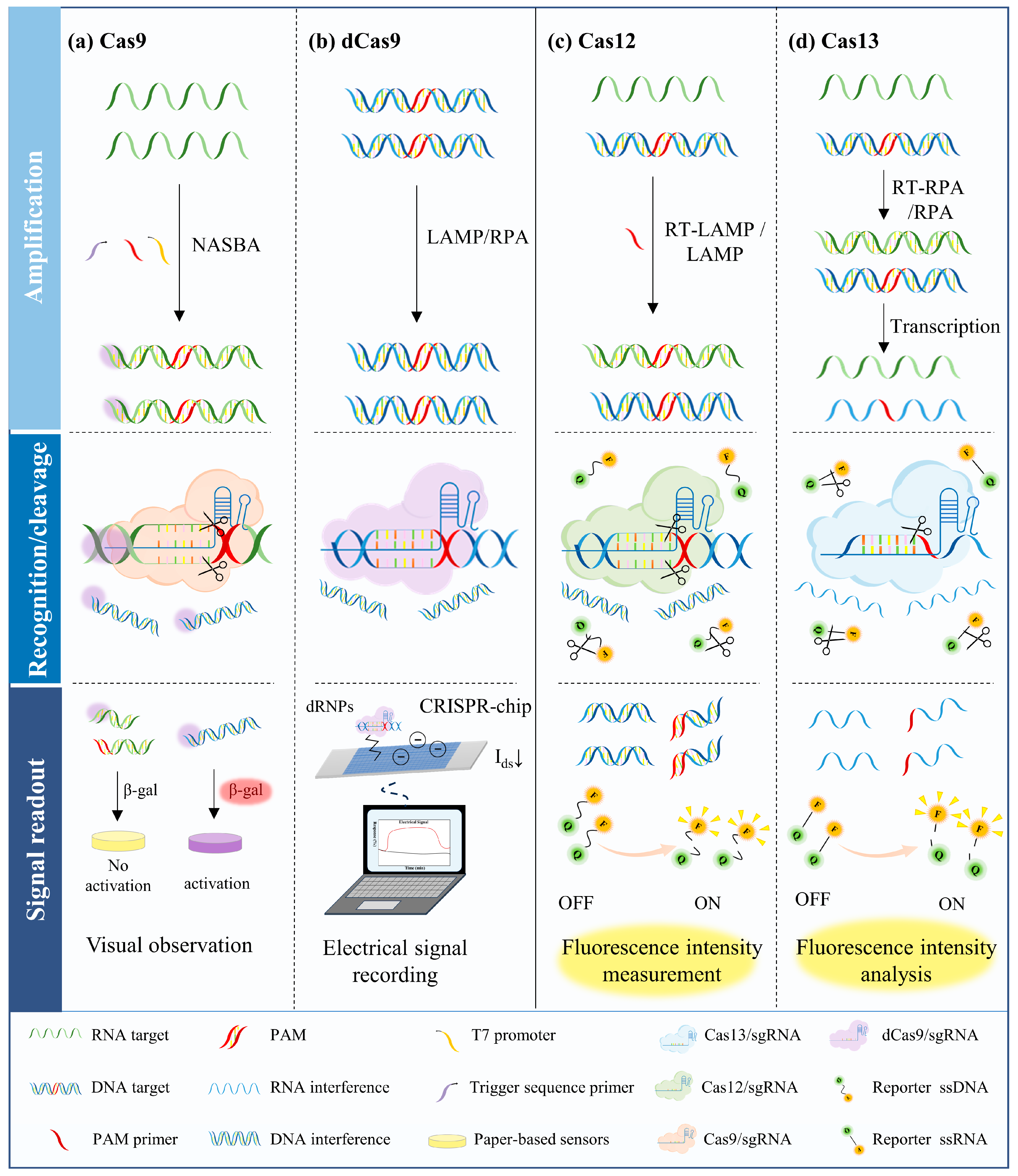 Microorganisms 13 02006 g003