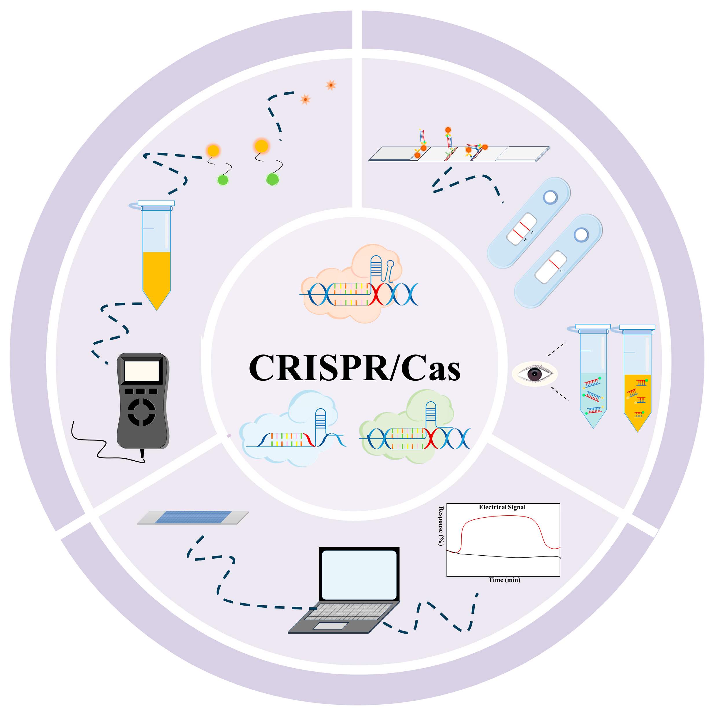 Microorganisms 13 02006 g005