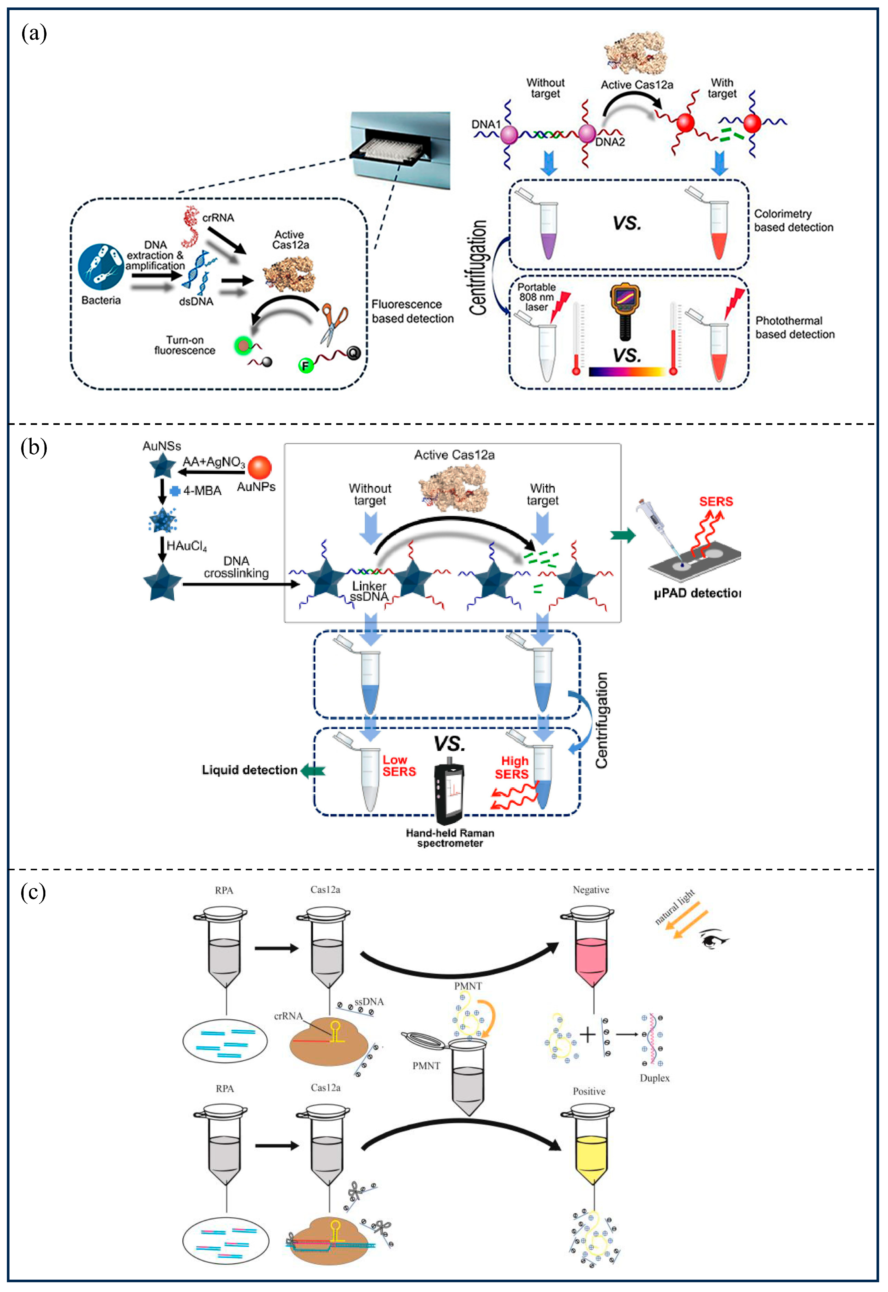 Microorganisms 13 02006 g006