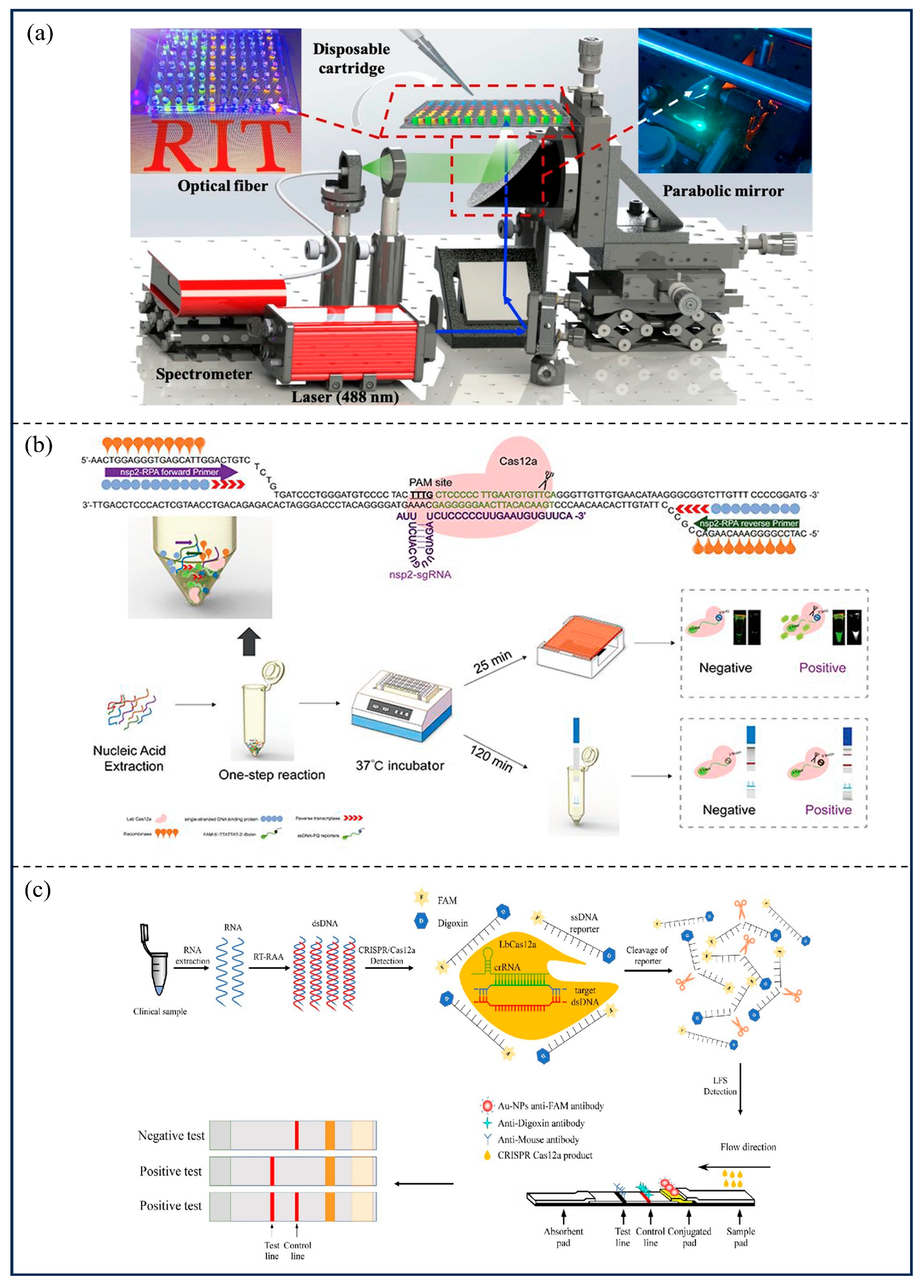 Microorganisms 13 02006 g007