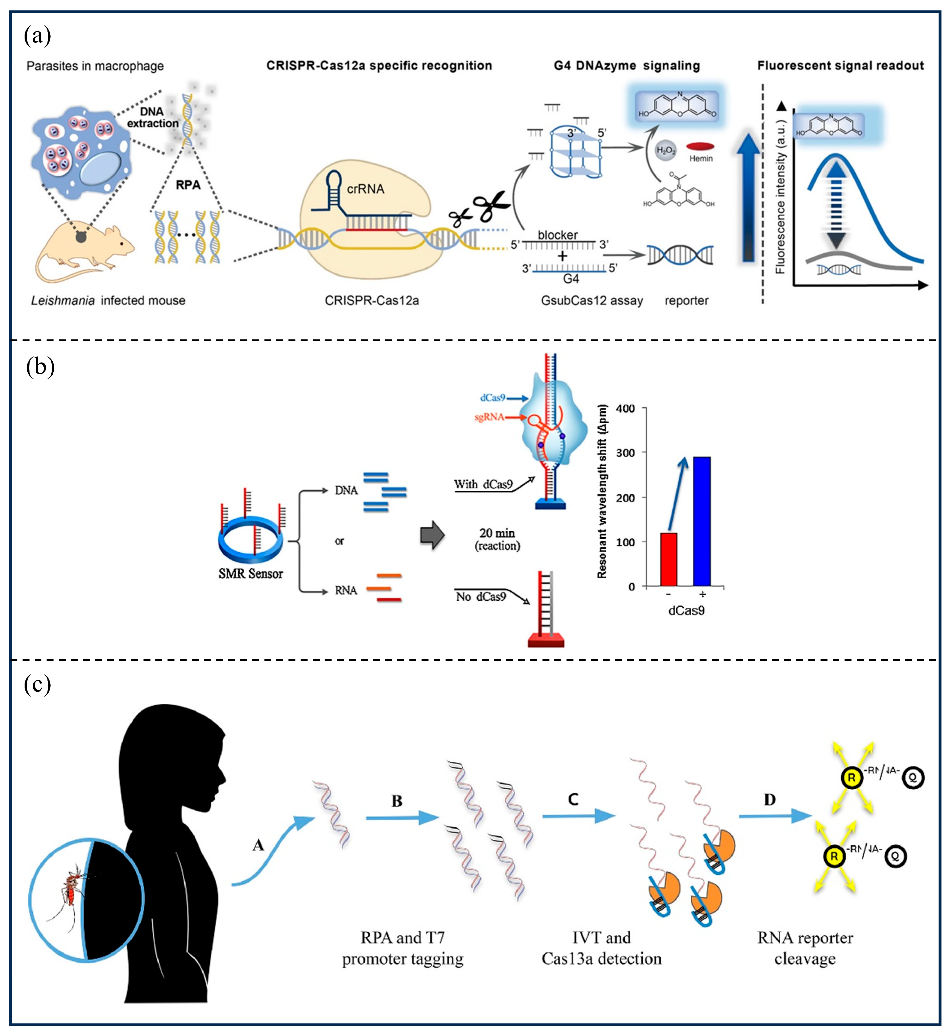 Microorganisms 13 02006 g008