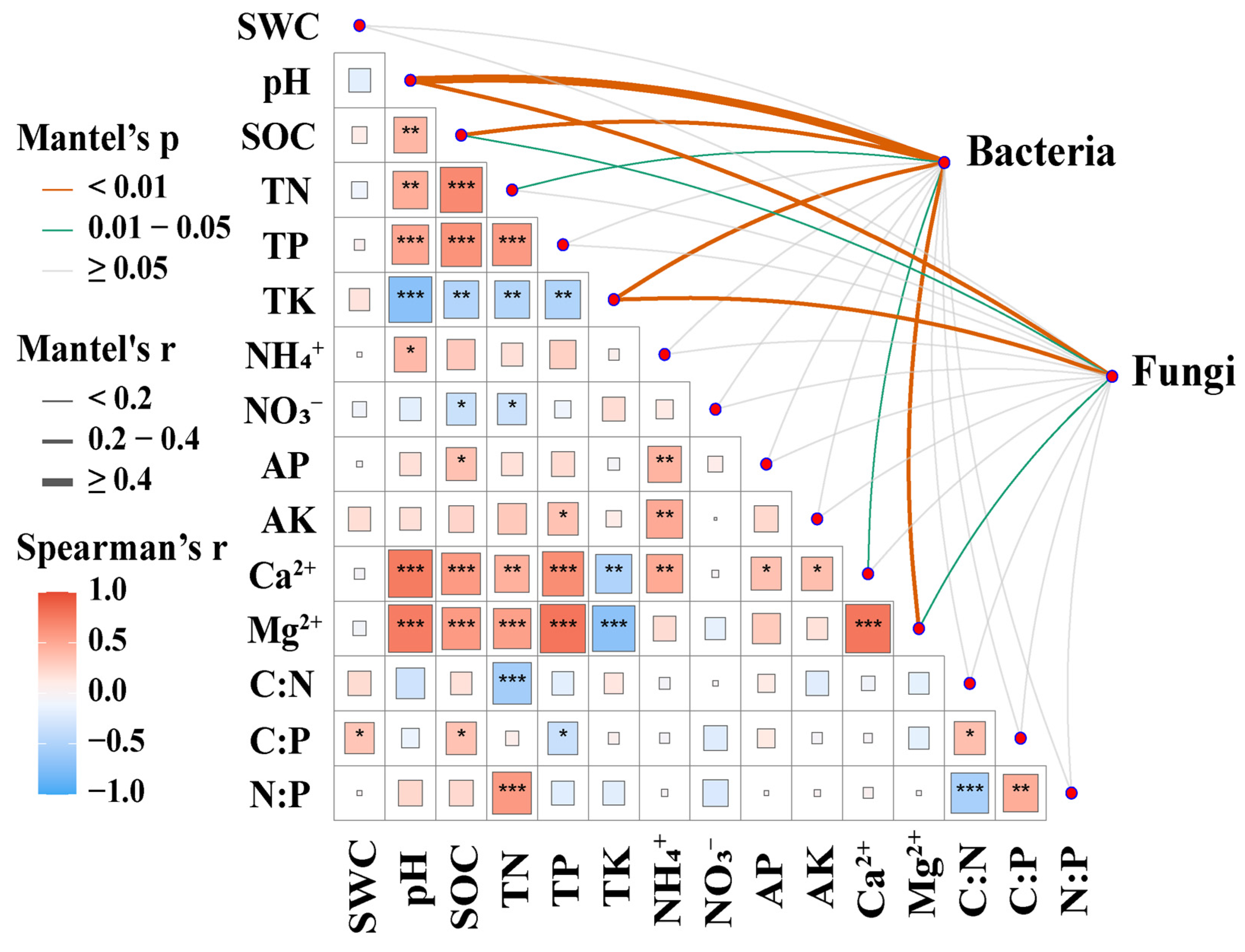 Microorganisms 13 02012 g006 Microorganisms 13 02012 g006